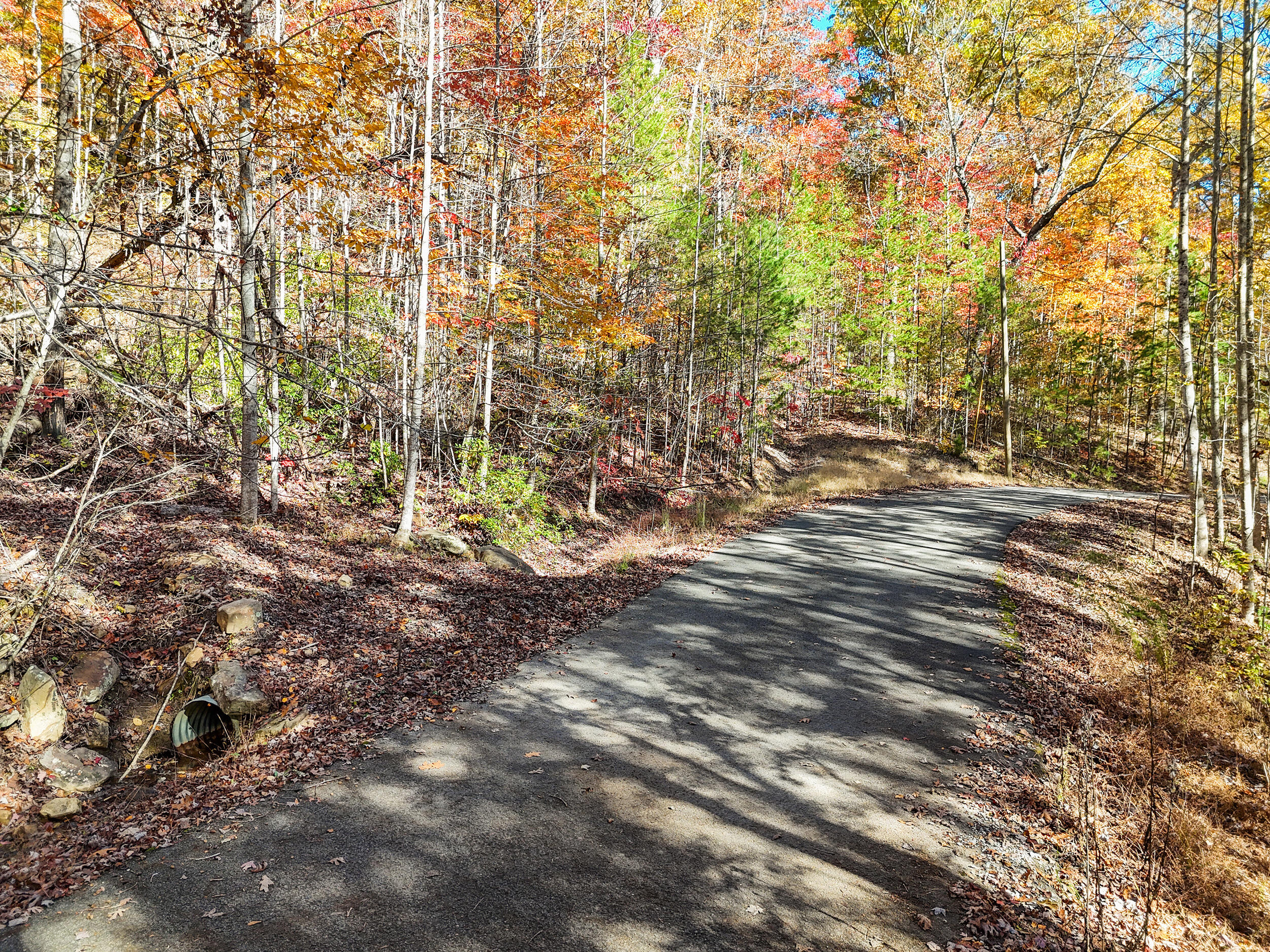 Lot 202 Deep Woods Drive Property Photo 9