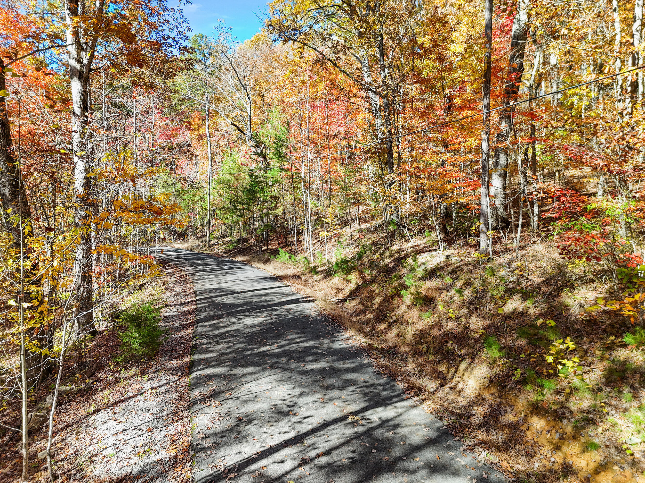 Lot 202 Deep Woods Drive Property Photo 10