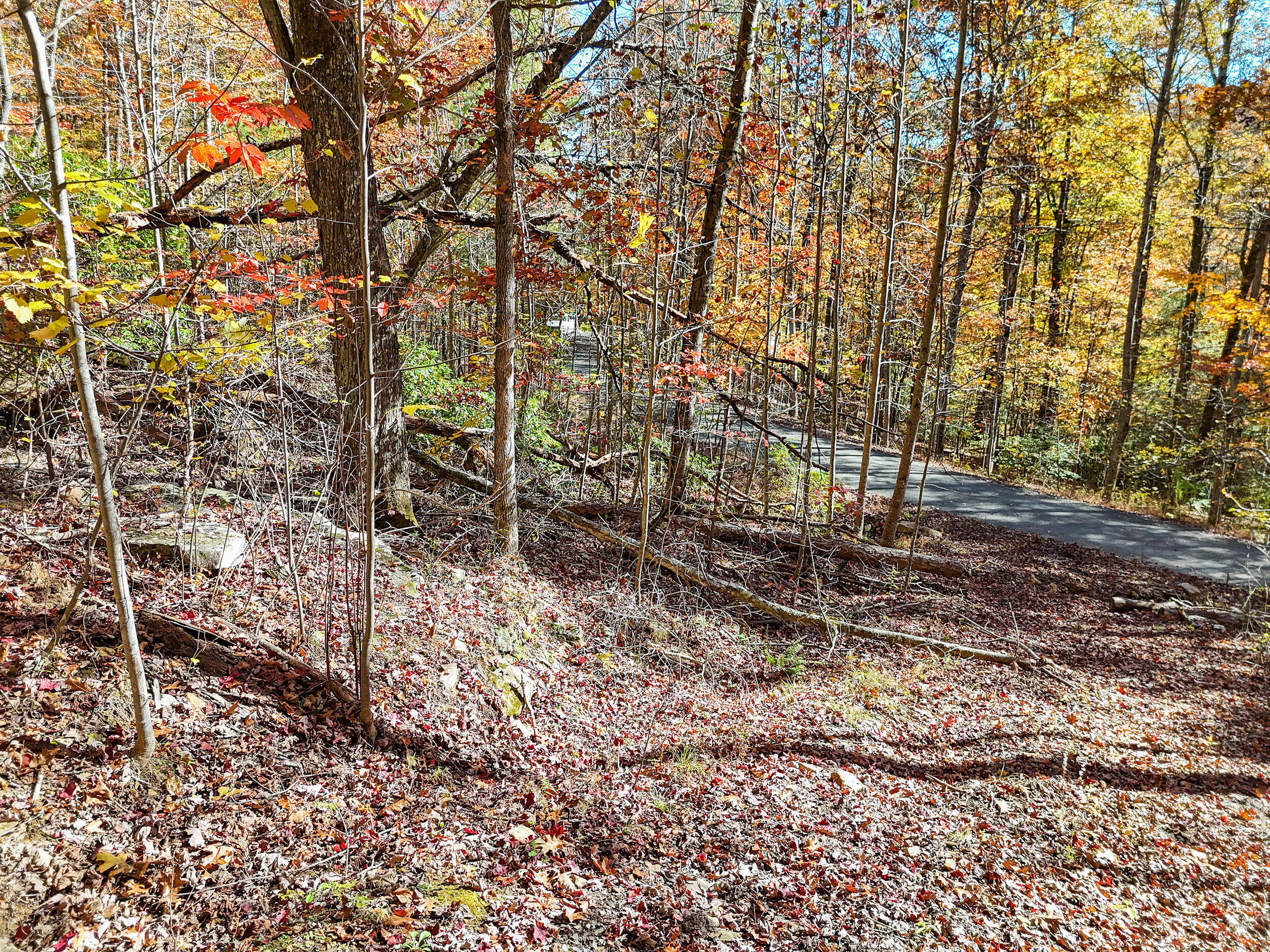 Lot 202 Deep Woods Drive Property Photo 12