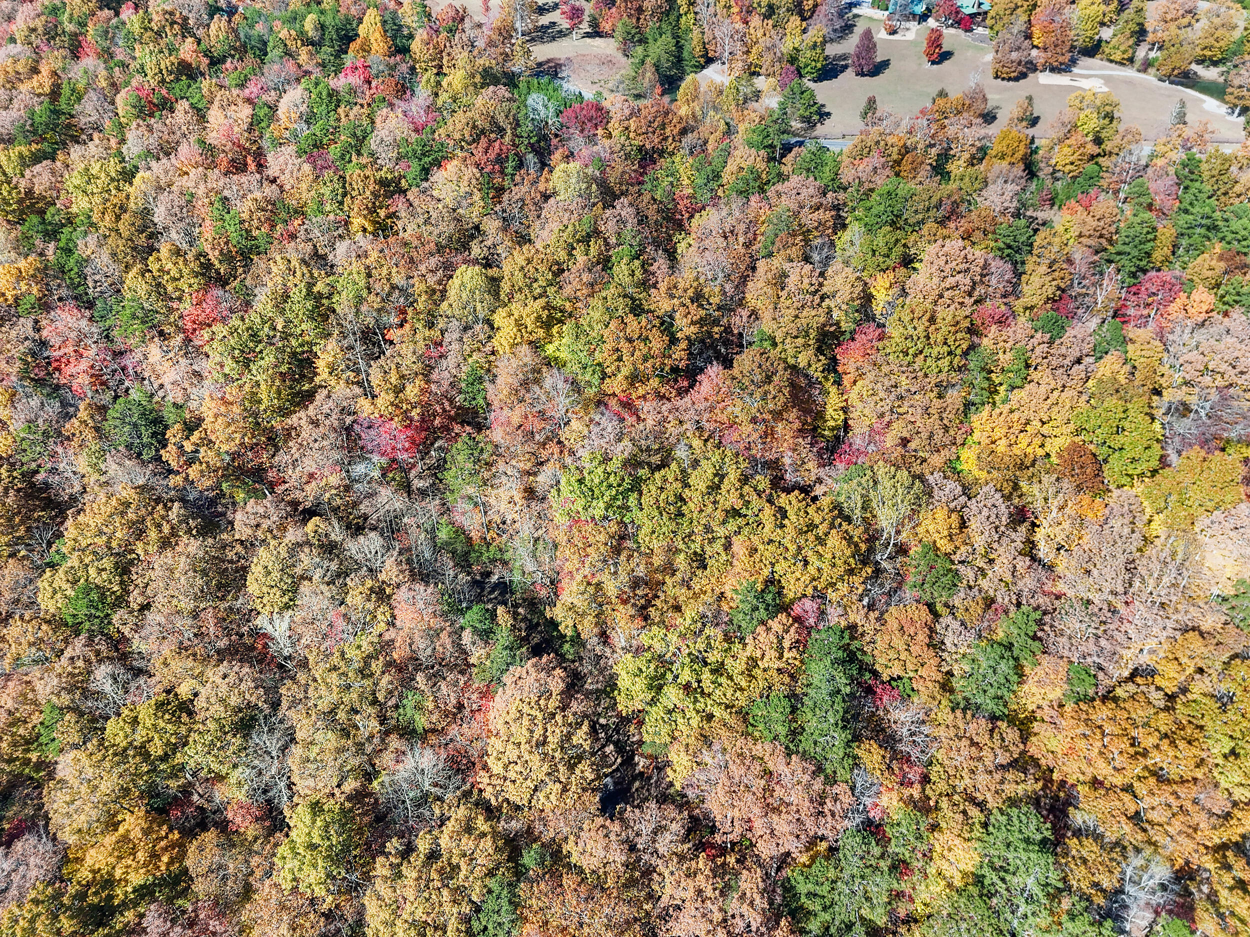 Lot 202 Deep Woods Drive Property Photo 18