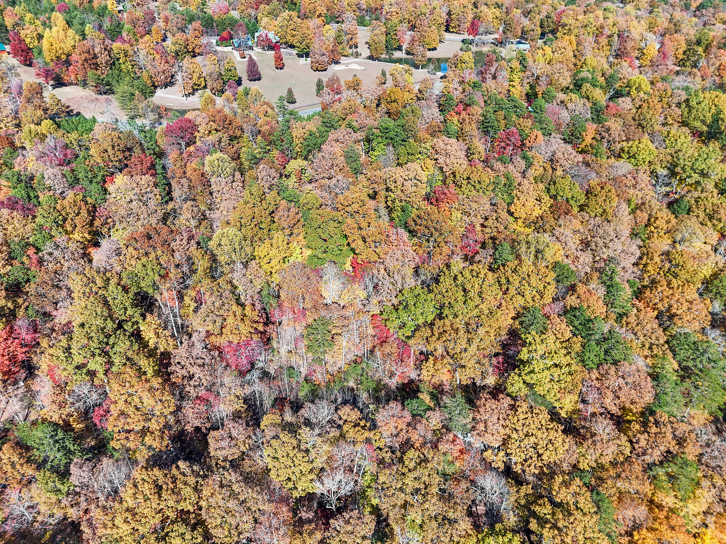 Lot 202 Deep Woods Drive Property Photo 19