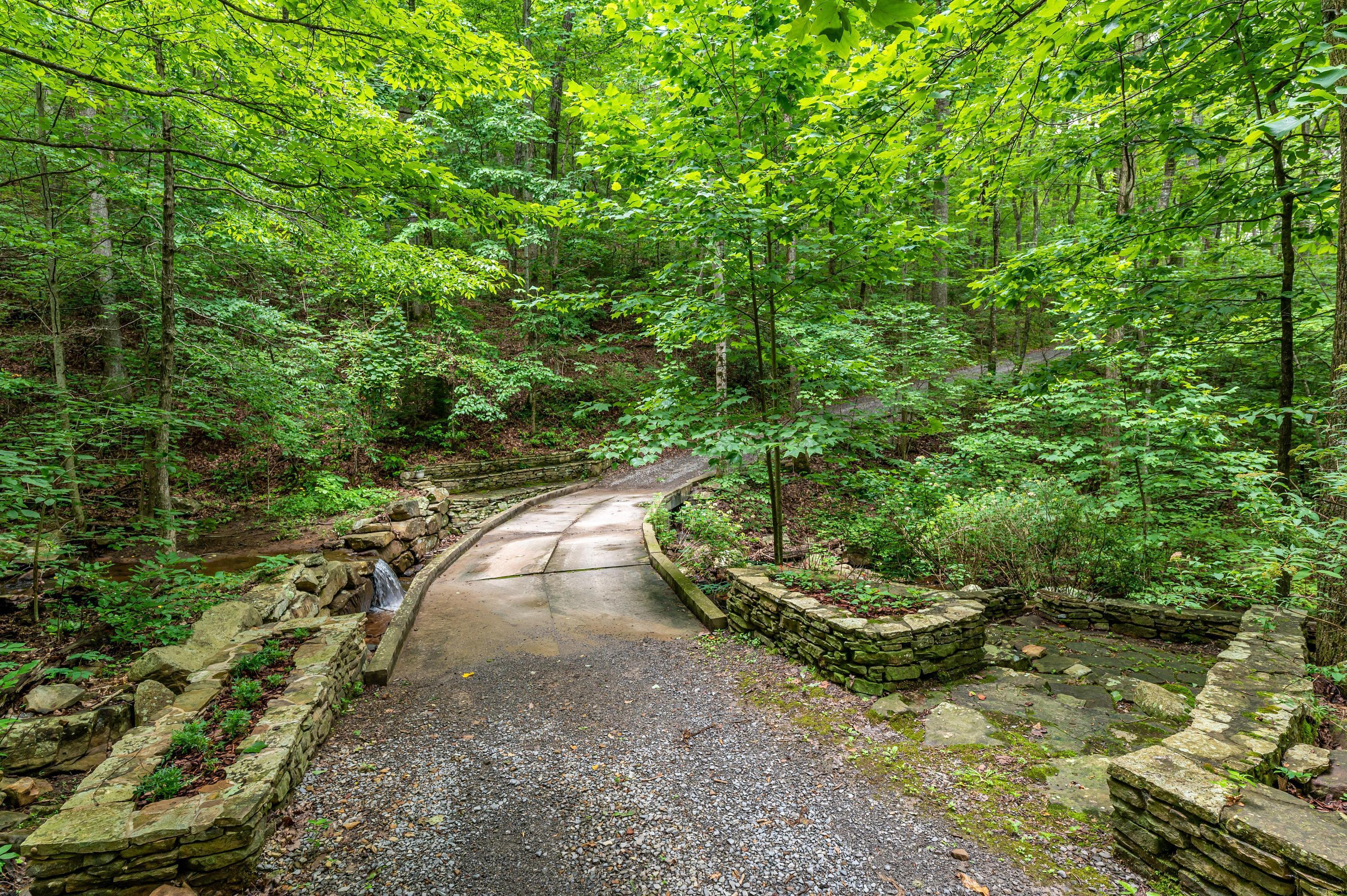 0 Roaring Creek Road Property Photo 11