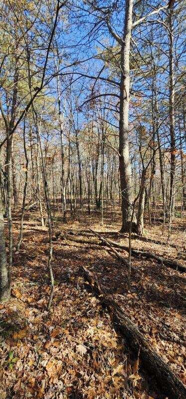 0 Woods Rd Property Photo 11