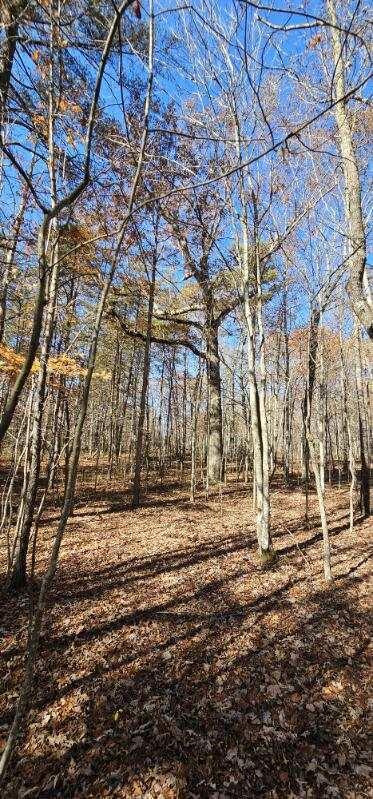 0 Woods Rd Property Photo 13
