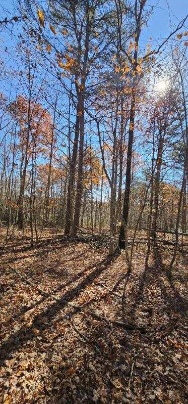 0 Woods Rd Property Photo 14