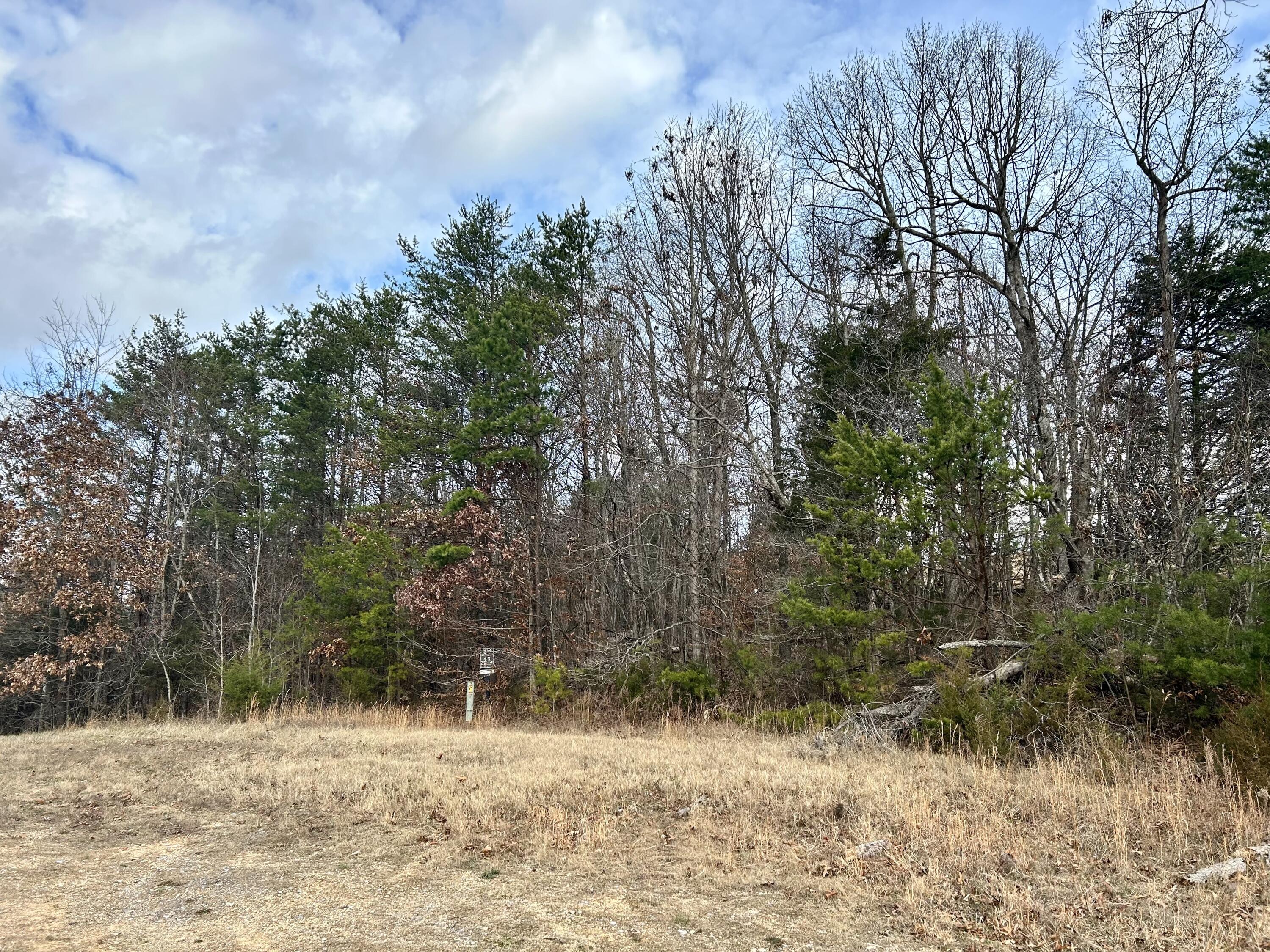 0 Topaz Lane Property Photo 3