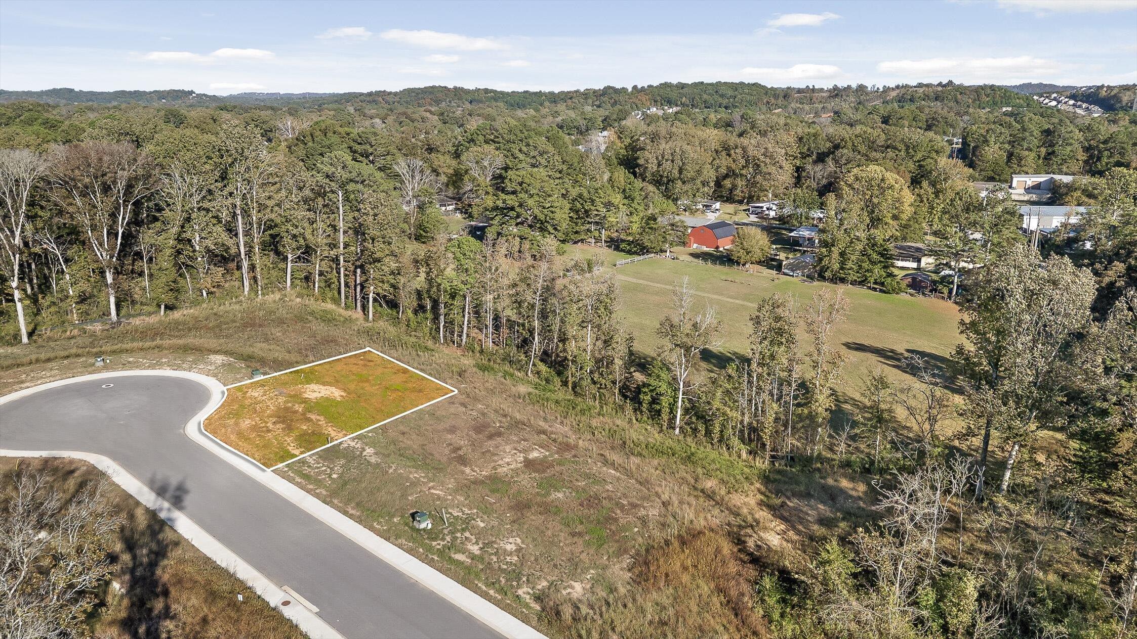 528 Council Creek Lane Property Photo 1
