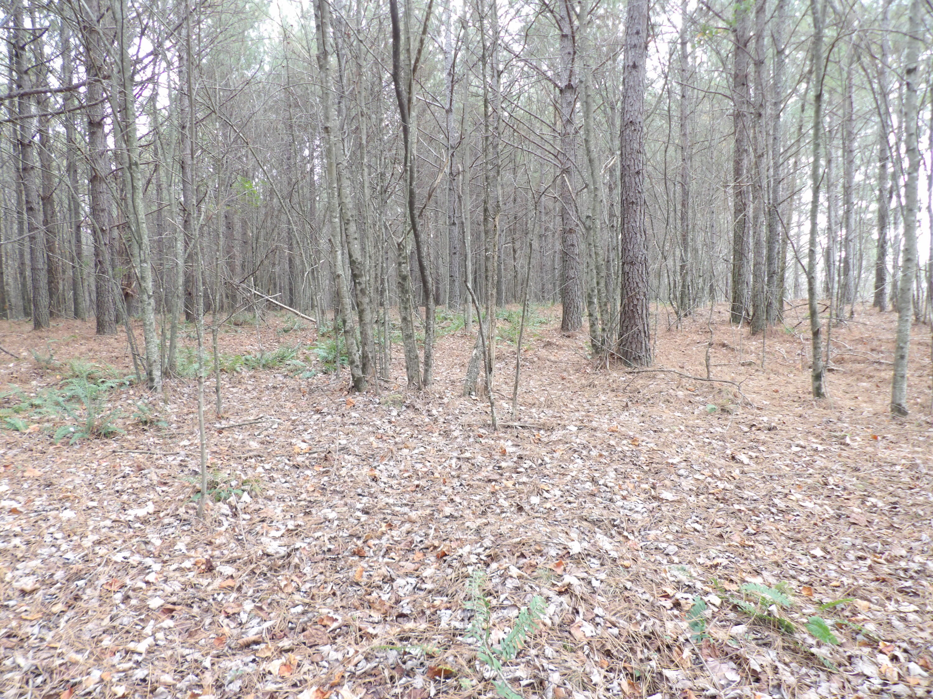 Lot 20 Summercity Road Property Photo 1