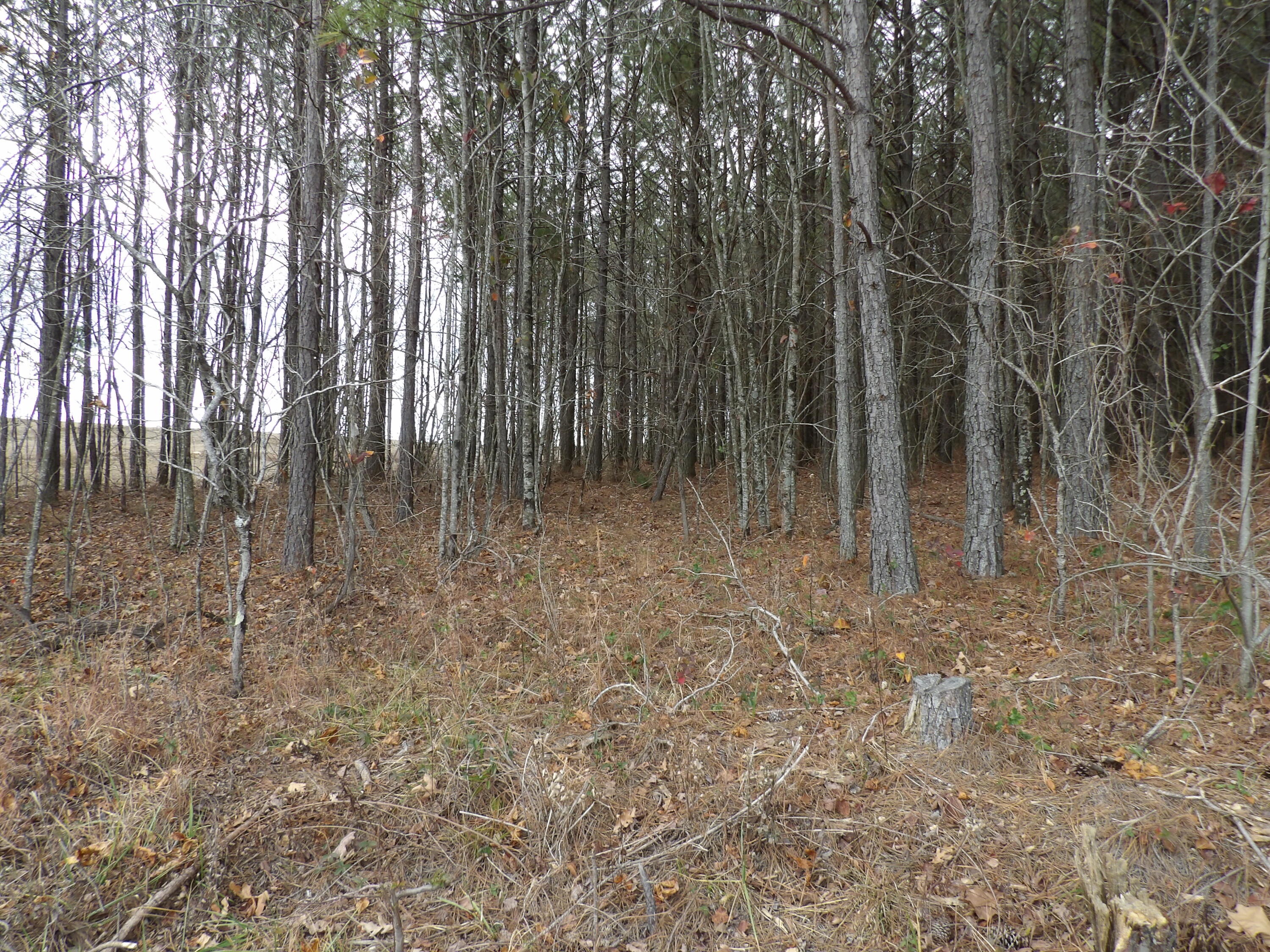 Lot 20 Summercity Road Property Photo 2