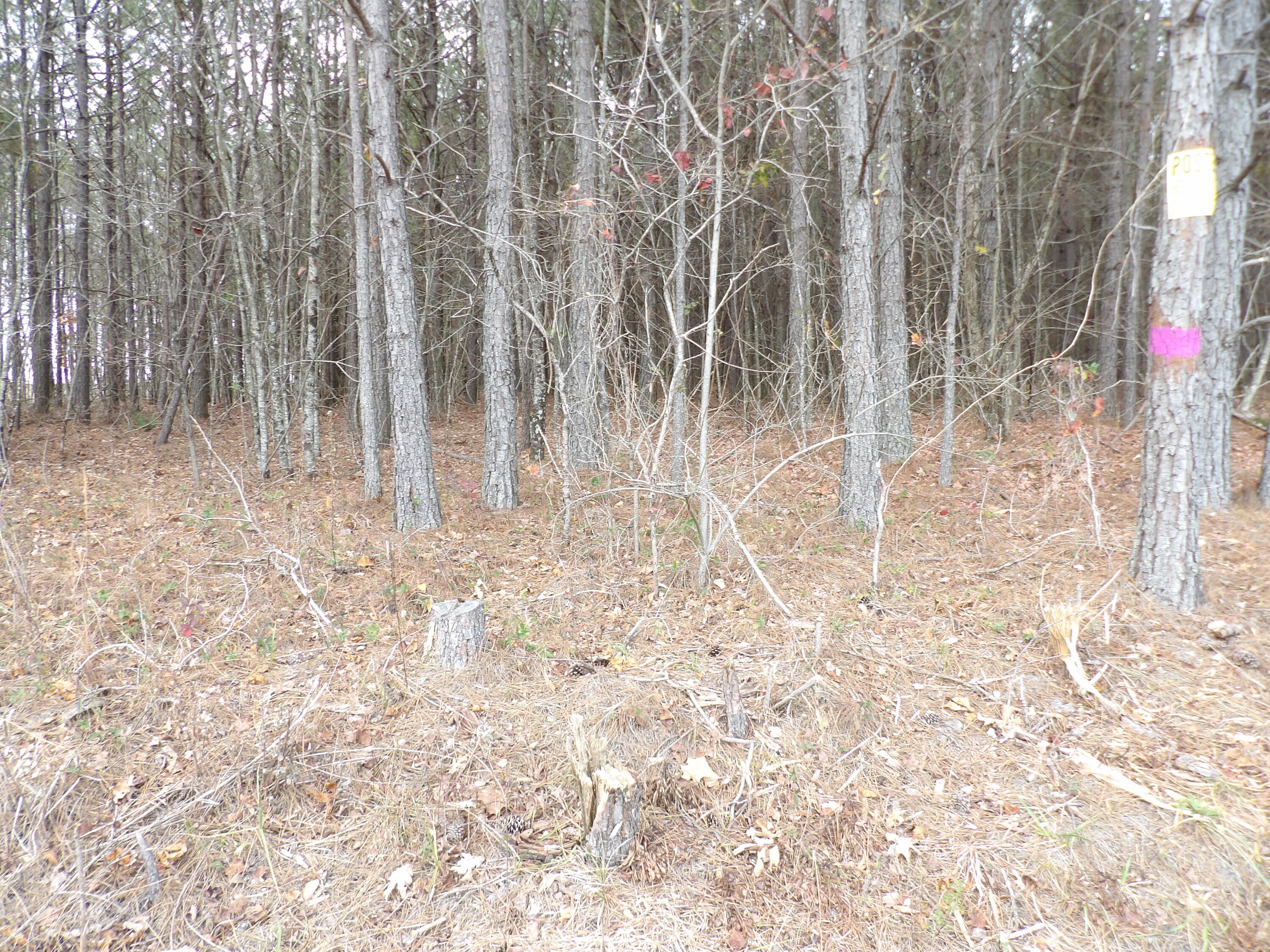 Lot 20 Summercity Road Property Photo 3