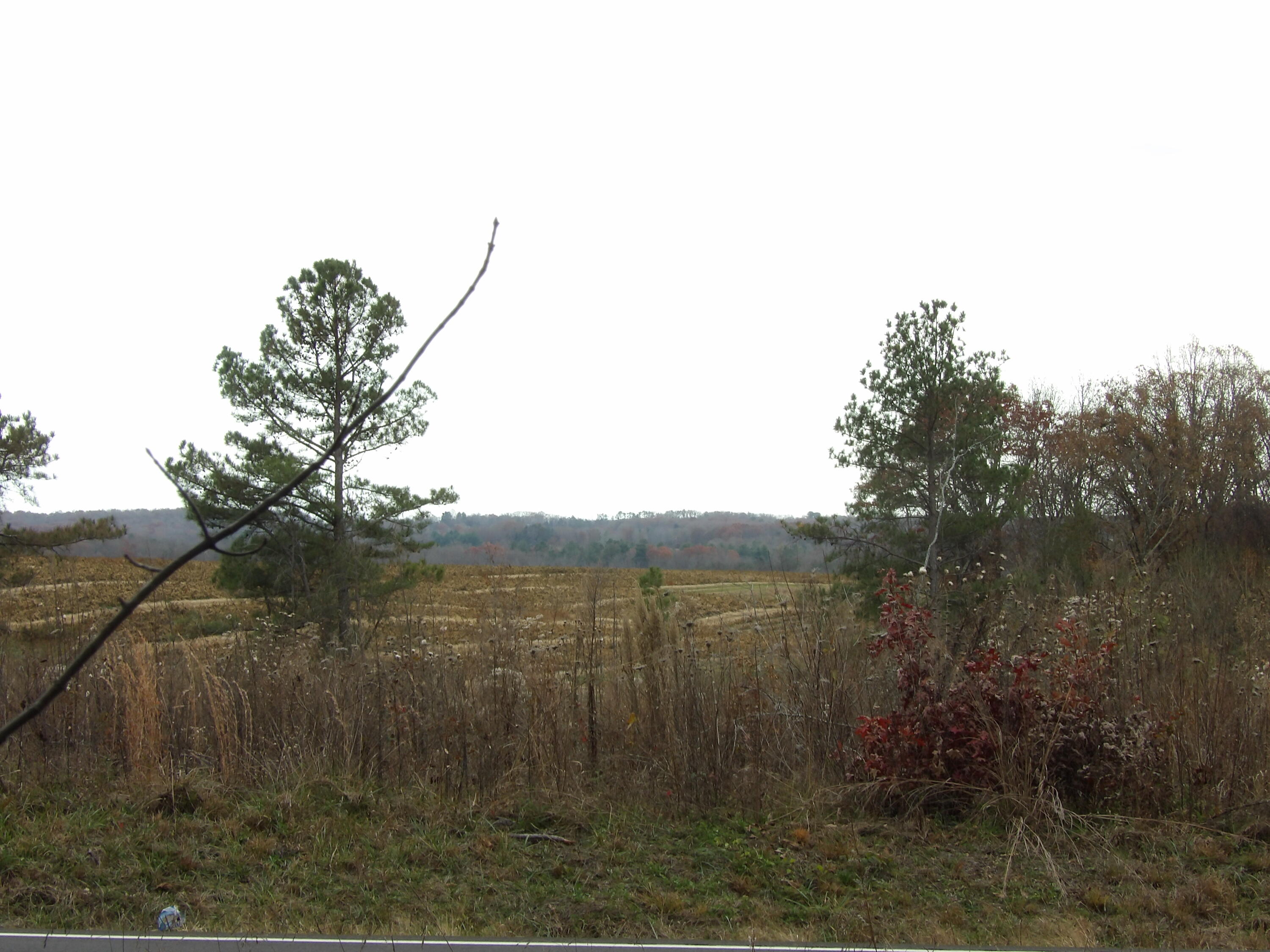Lot 20 Summercity Road Property Photo 7