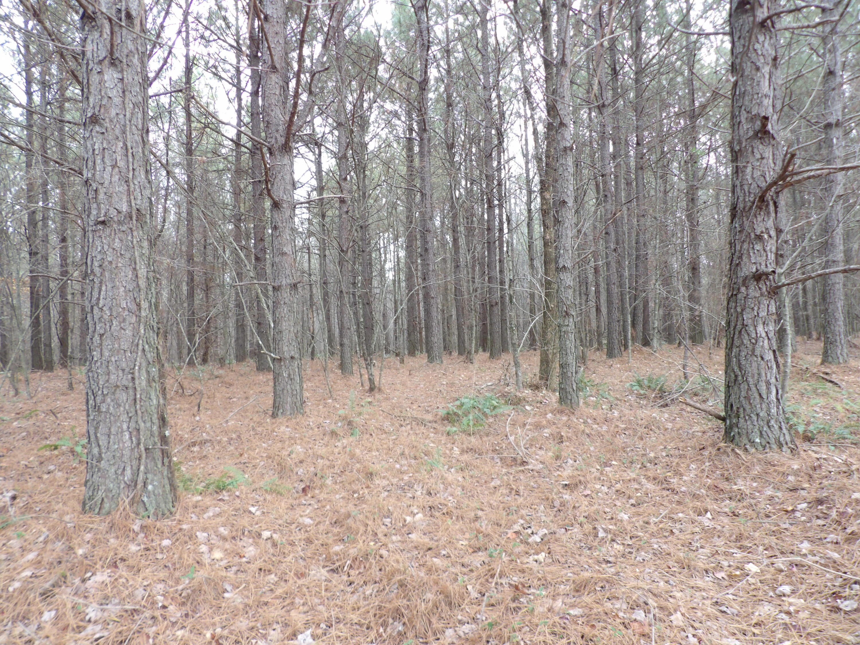 Lot 20 Summercity Road Property Photo 14