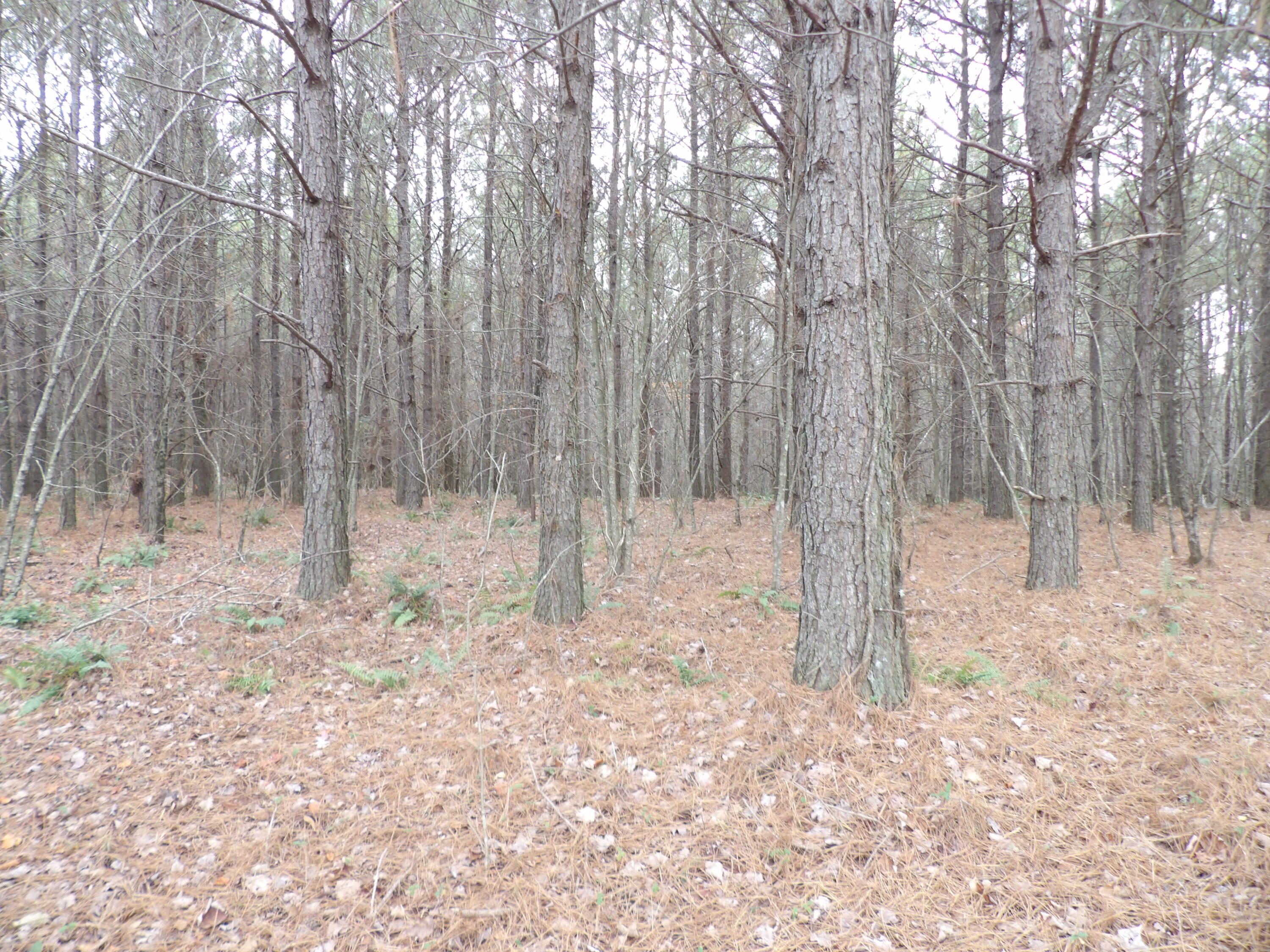 Lot 20 Summercity Road Property Photo 16