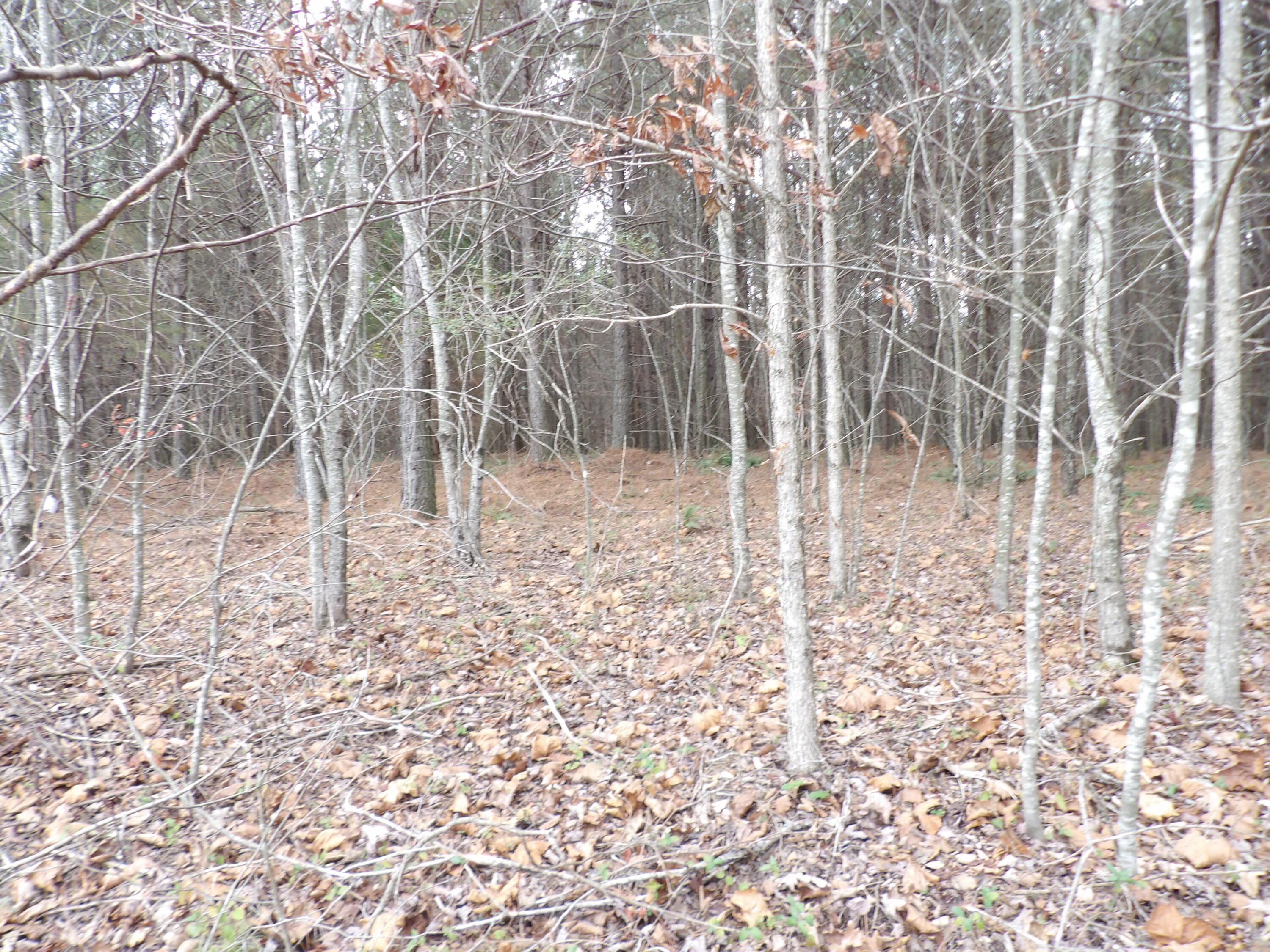 Lot 20 Summercity Road Property Photo 18