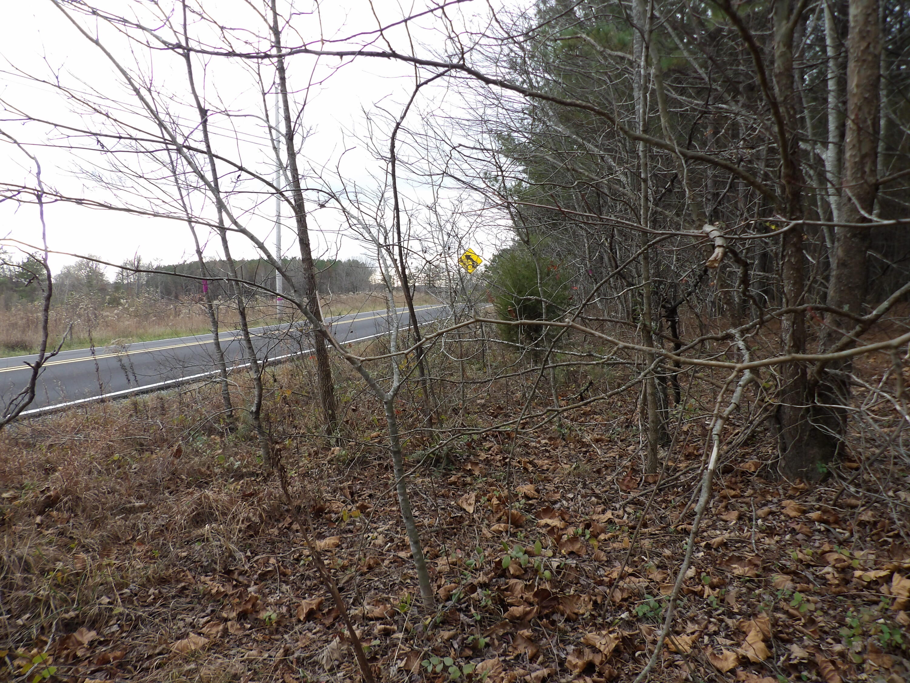 Lot 20 Summercity Road Property Photo 19