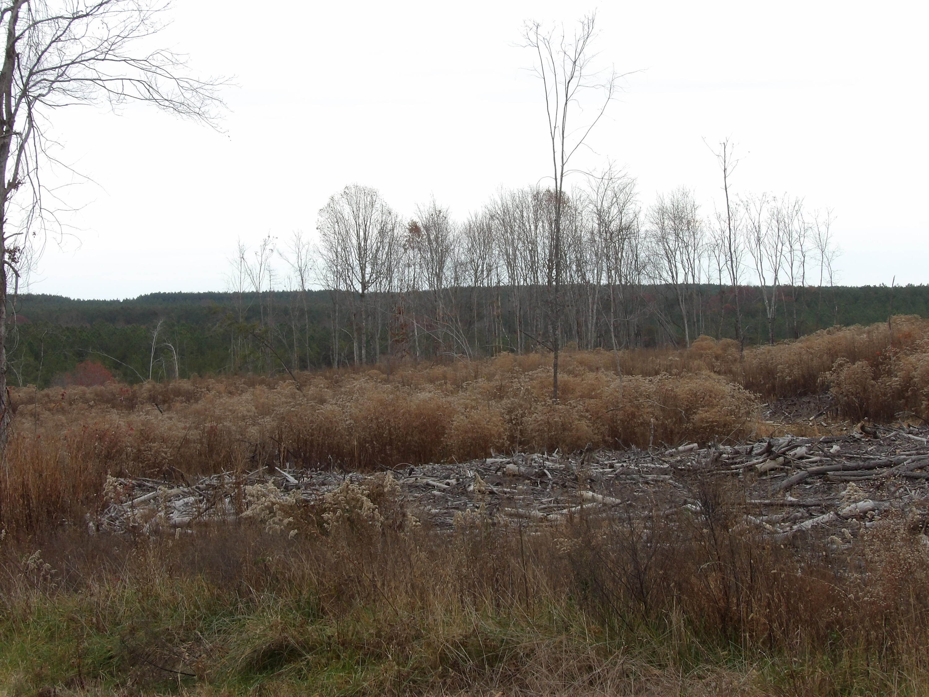 Lot 20 Summercity Road Property Photo 20