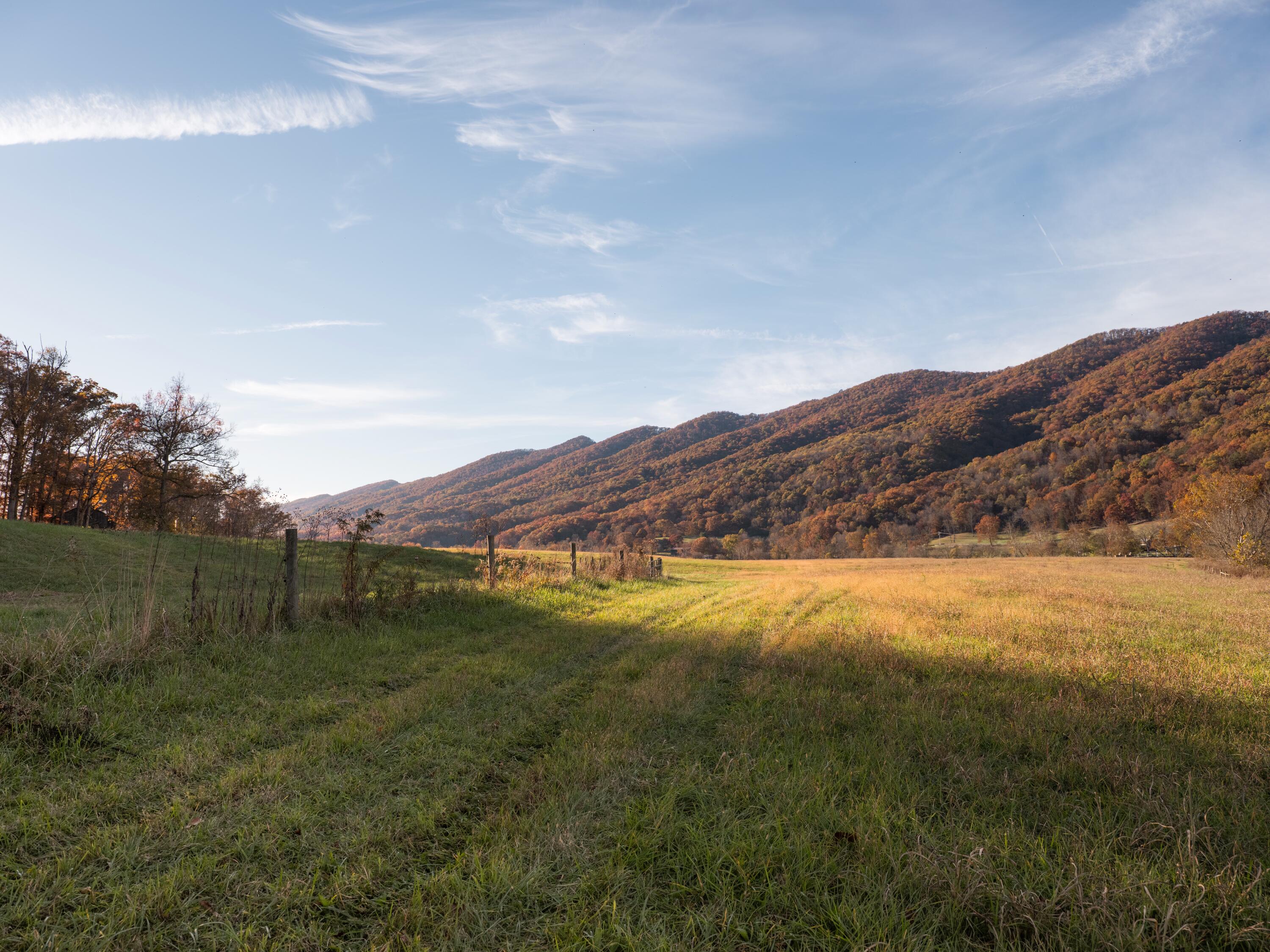 7456 A P Carter Highway Property Photo 33