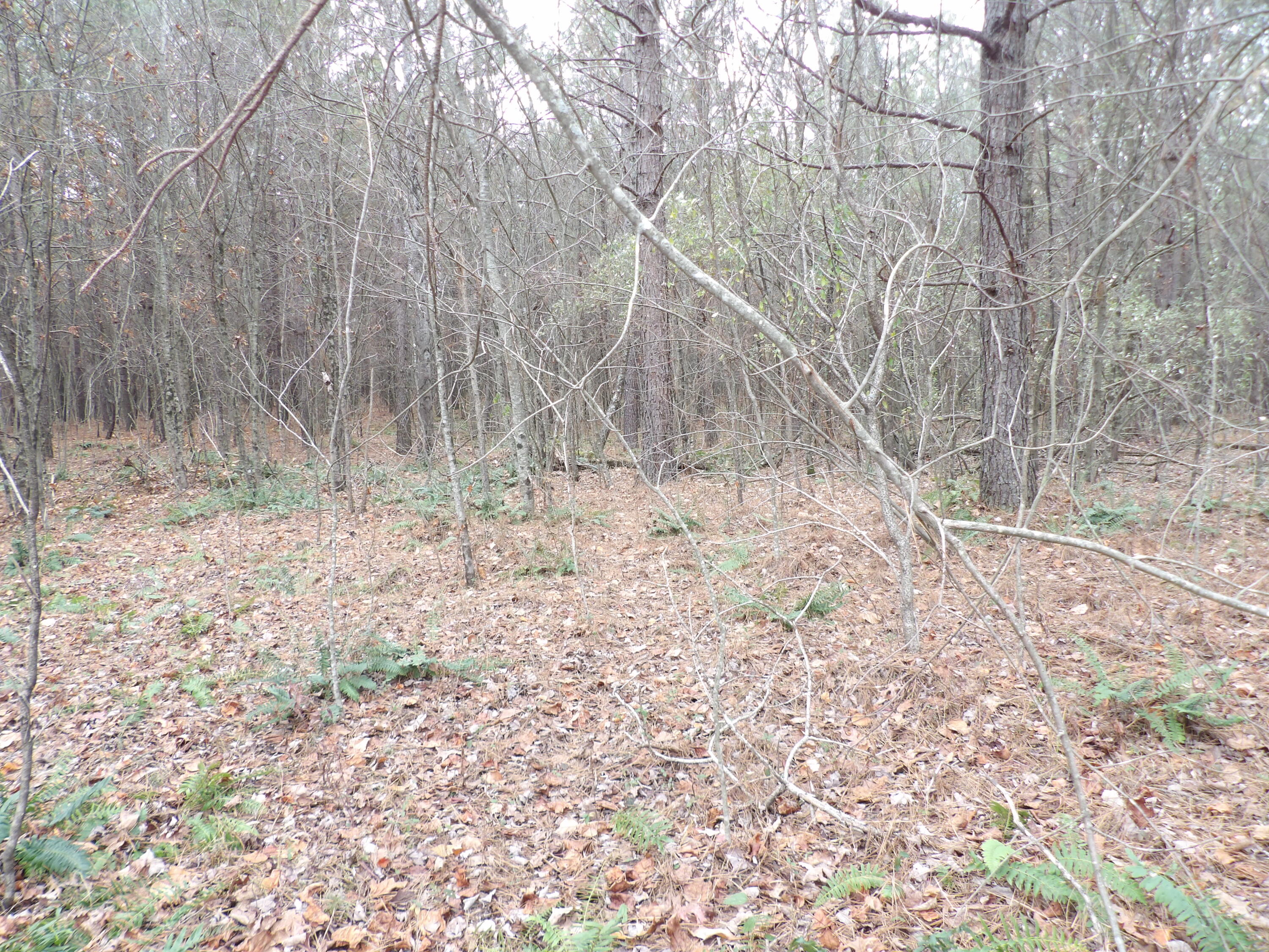 Lot 21 Summercity Road Property Photo 8