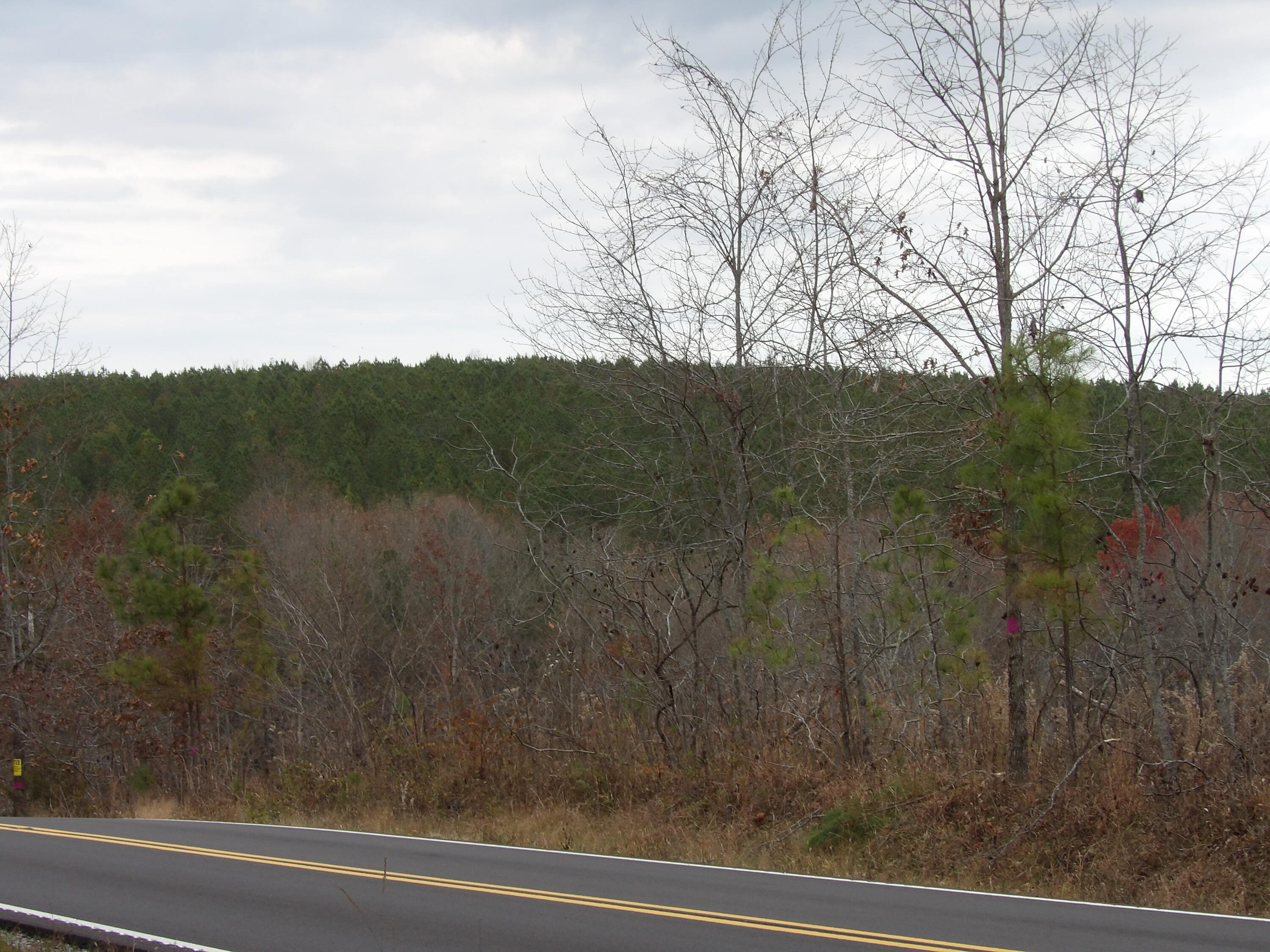 Lot 21 Summercity Road Property Photo 17