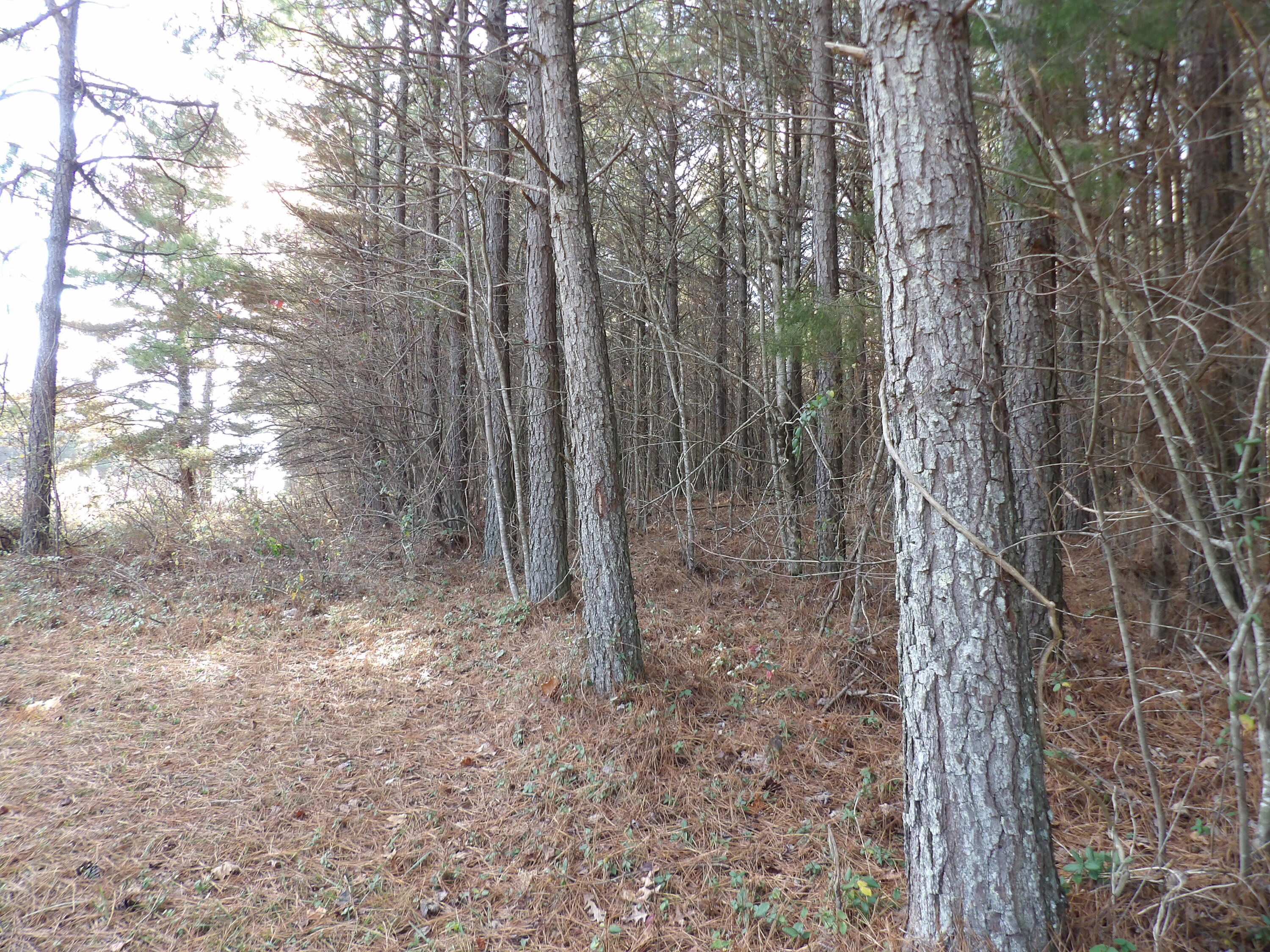 Lot 22 Summercity Road Property Photo 1