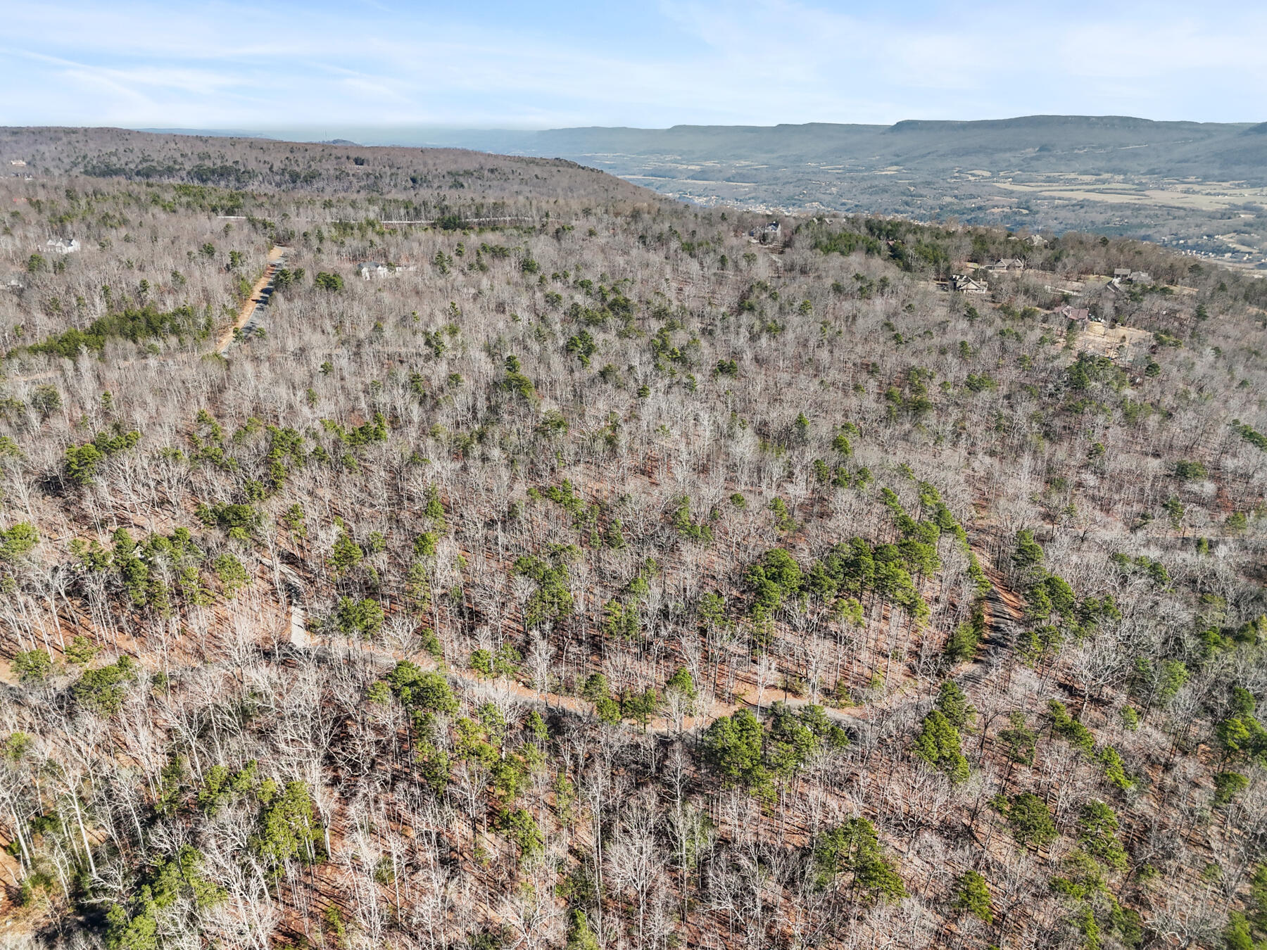 0 Tall Tree Trail Property Photo 1