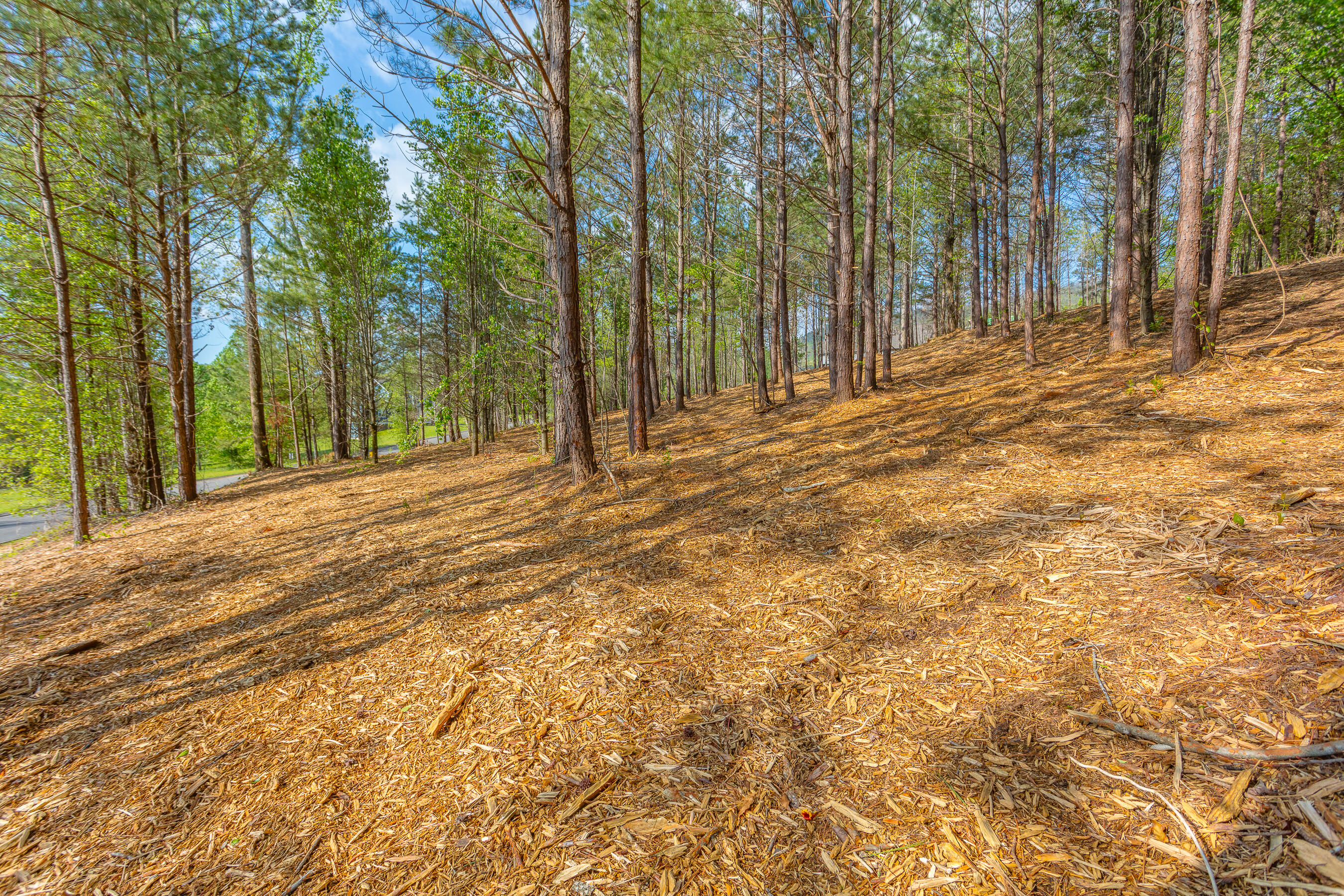 19 Turkey Property Photo 1