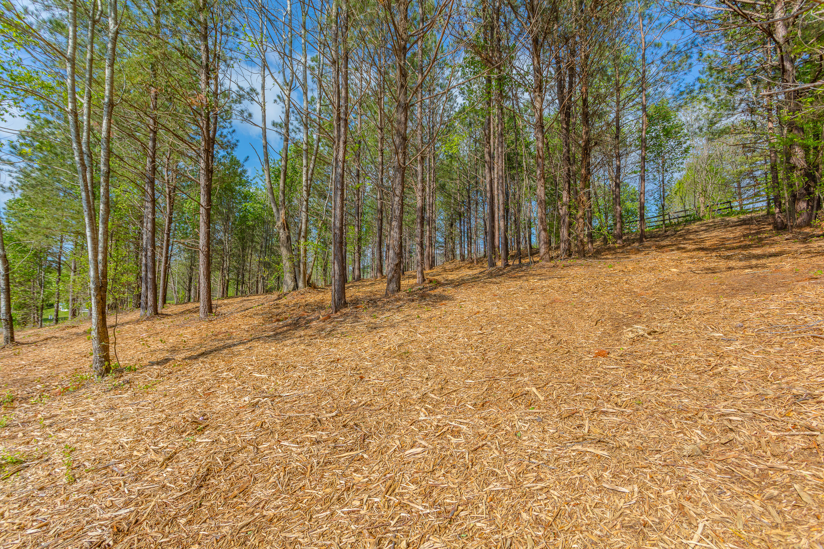 19 Turkey Property Photo 3