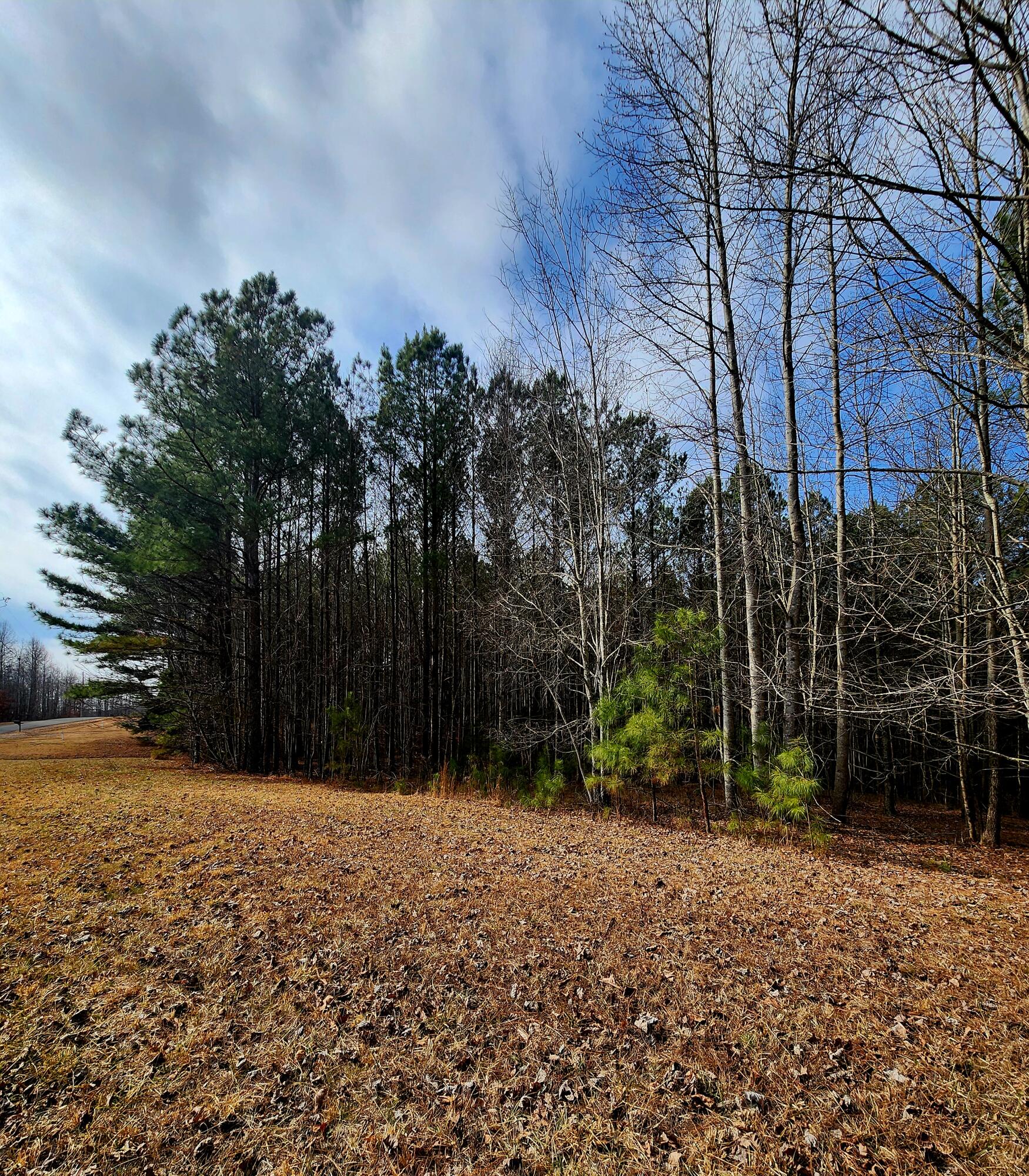 1560 Thunder Ridge Drive Property Photo 1