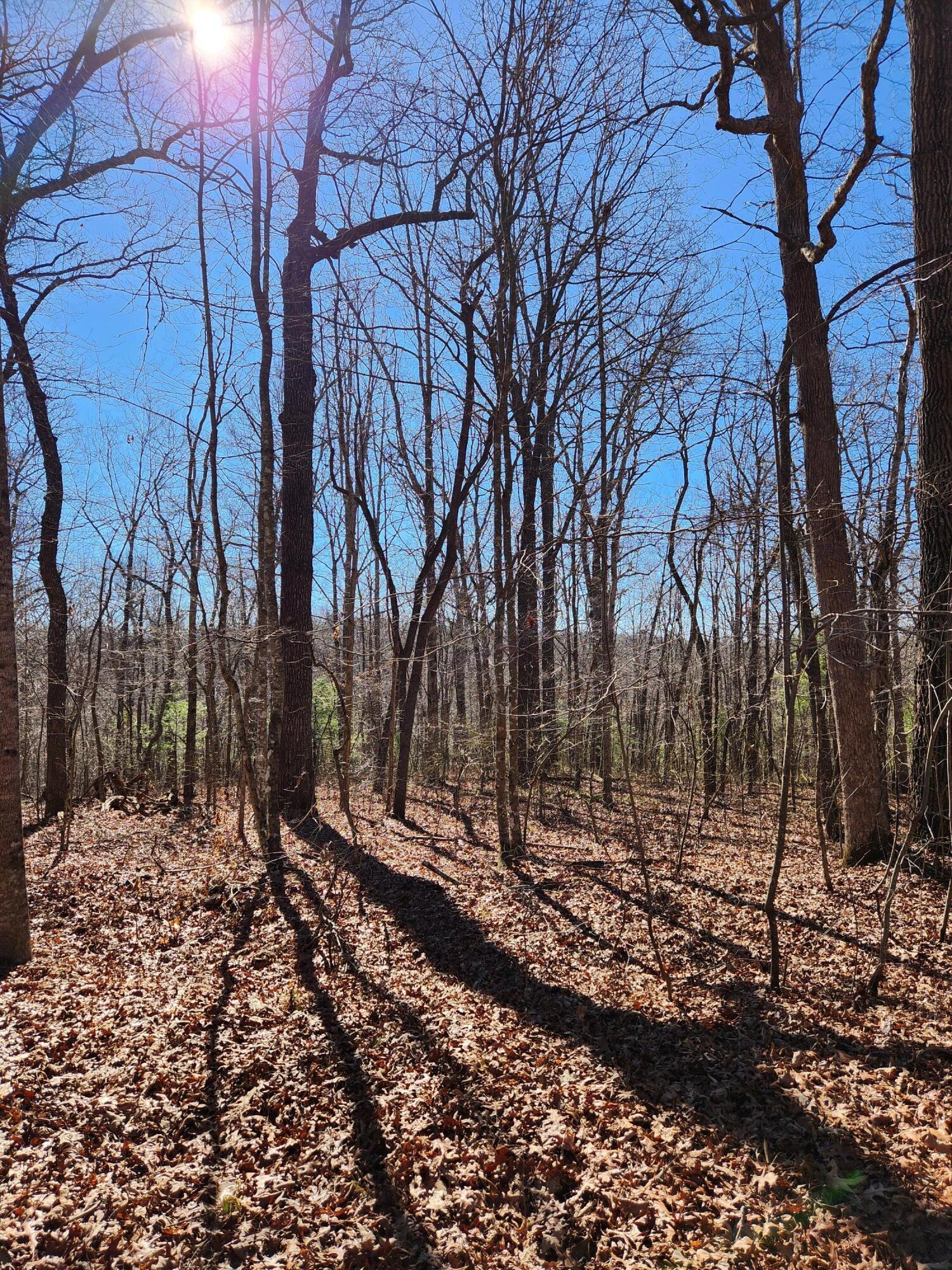 22 Devon Loop Property Photo 3