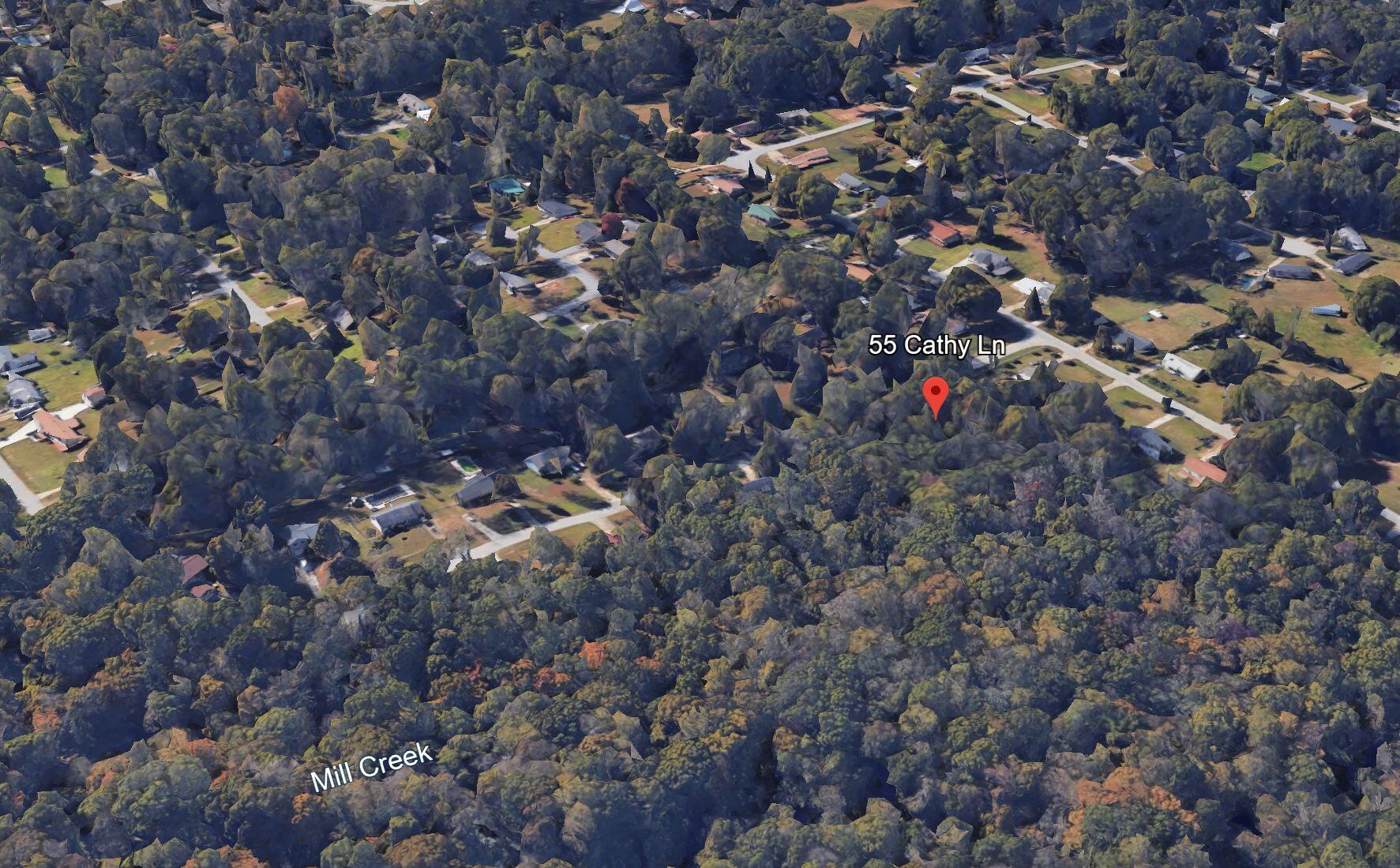 55 Cathy Lane Property Photo 3
