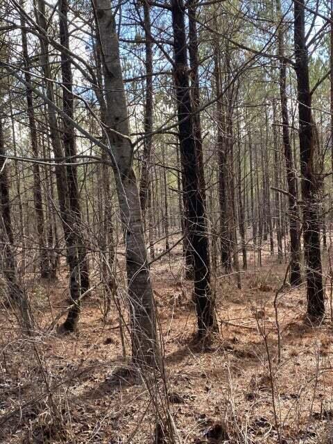 Lot 7 Thomas Springs Road Property Photo 1