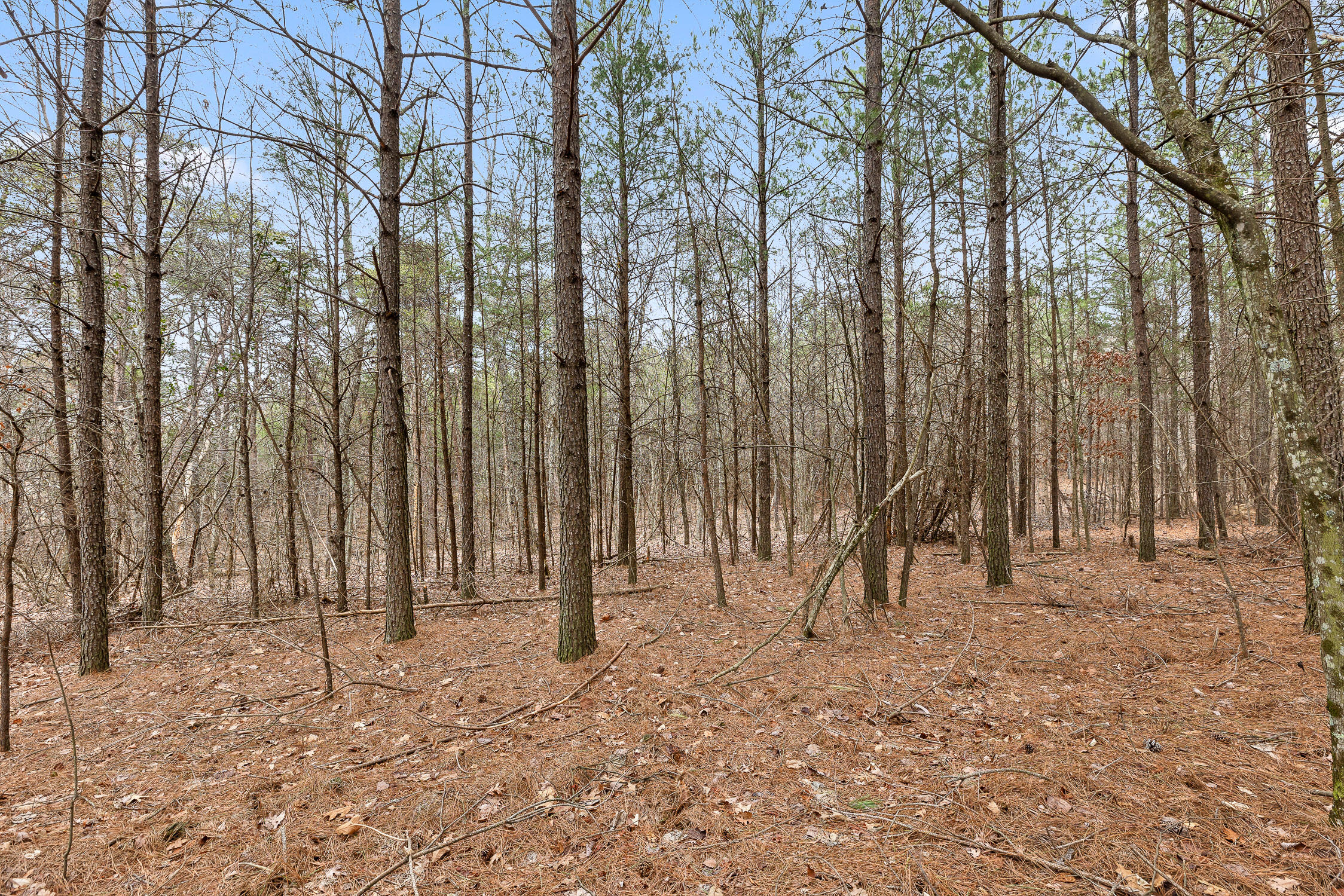 0 Crockett Point Property Photo 10