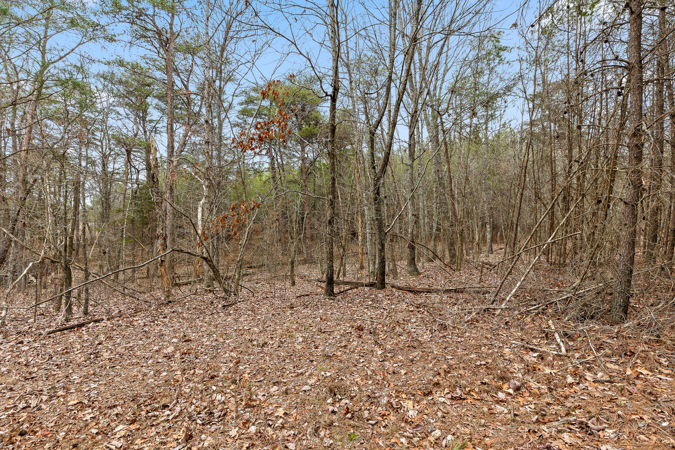 0 Crockett Point Property Photo 12