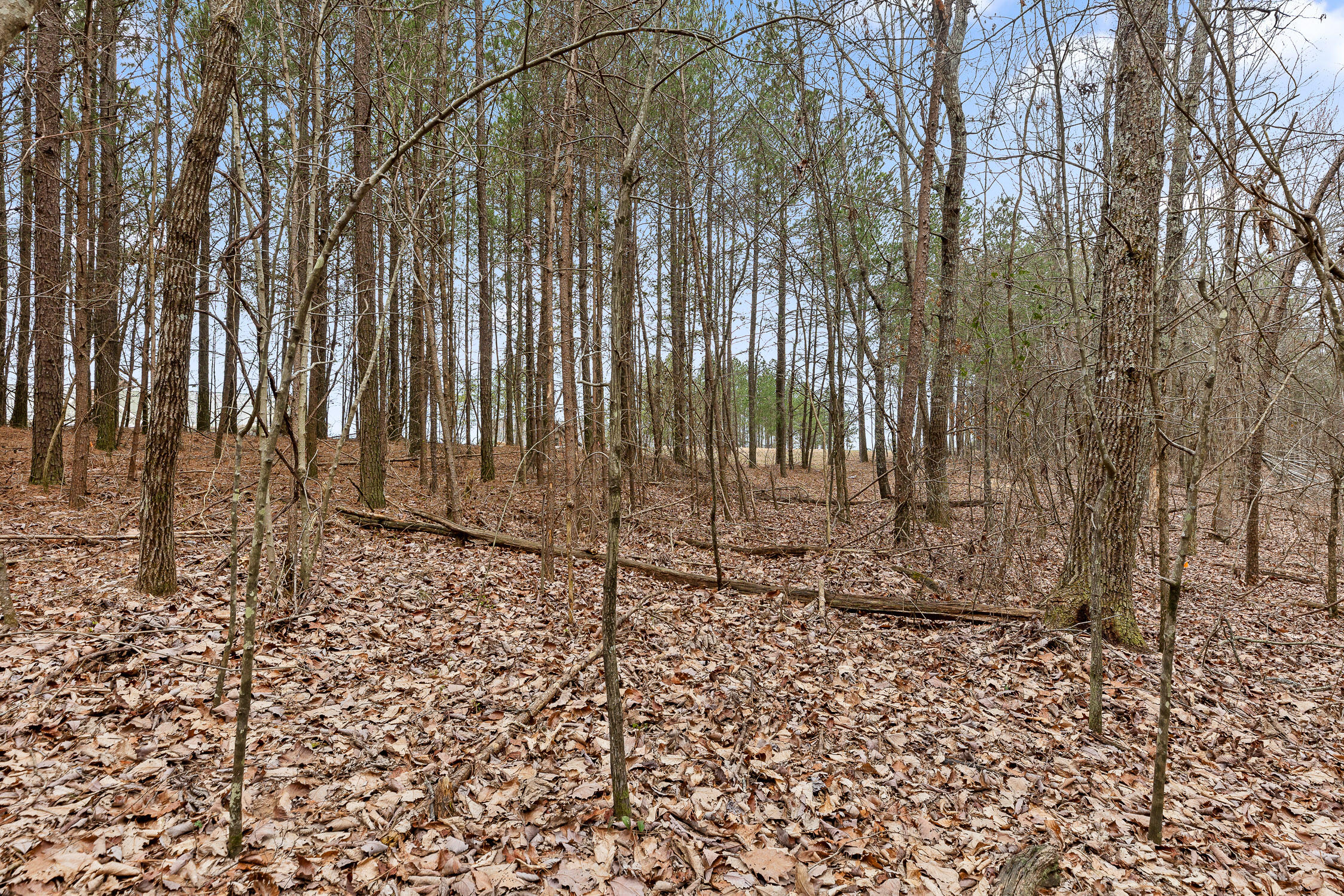 0 Crockett Point Property Photo 14