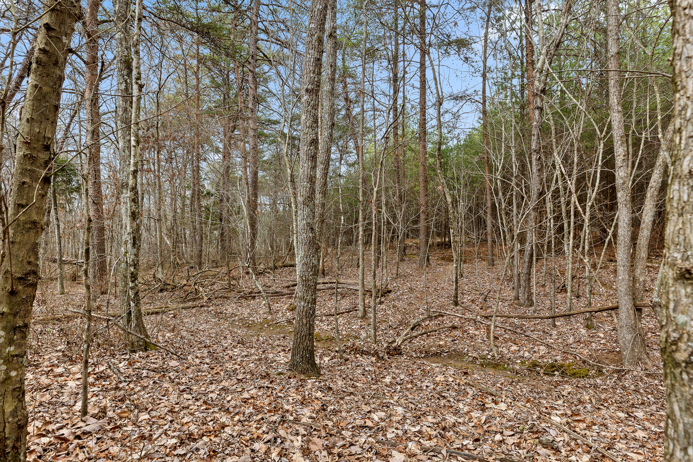 0 Crockett Point Property Photo 15