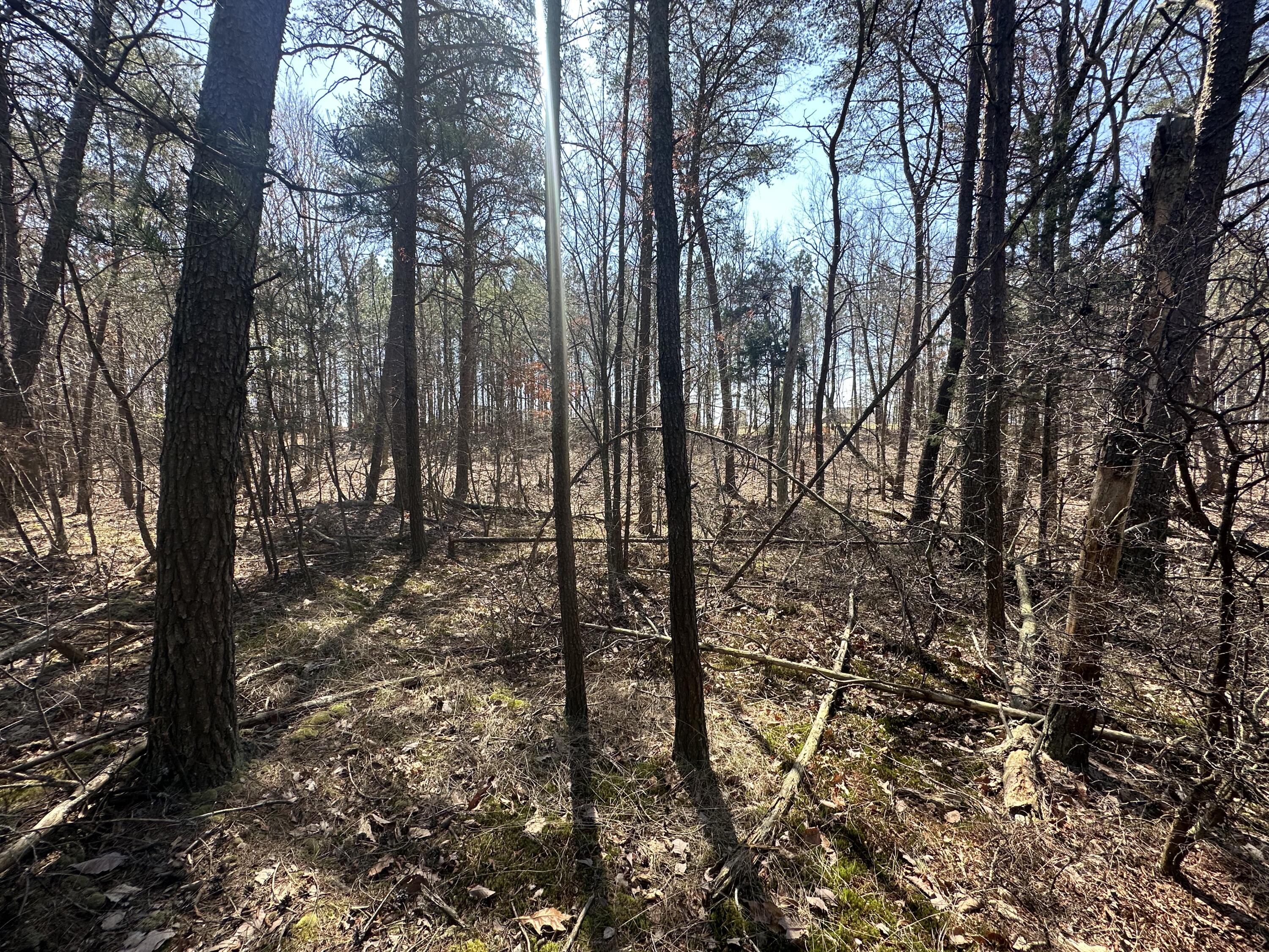 0 Crockett Point Property Photo 44