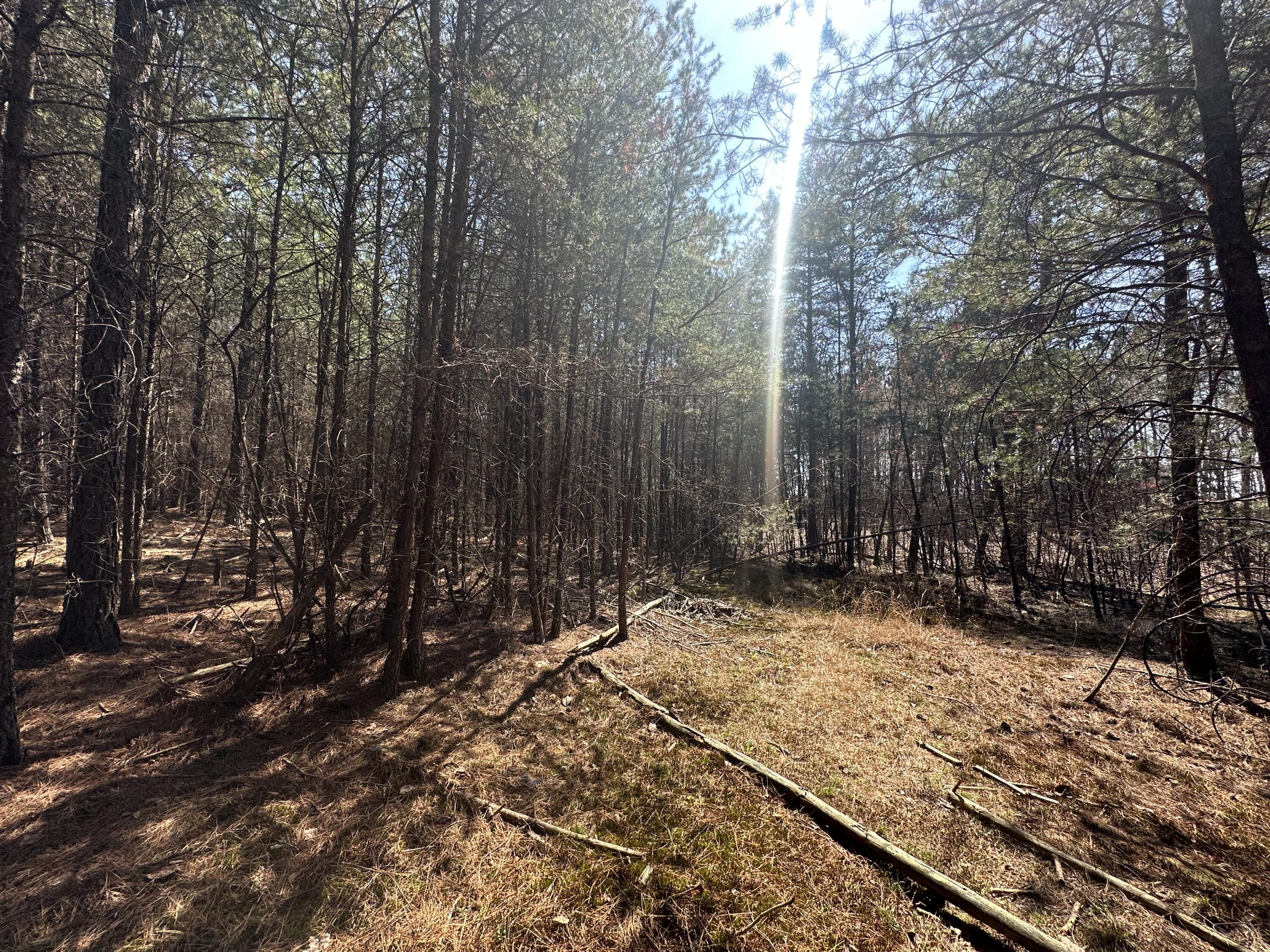 0 Crockett Point Property Photo 46