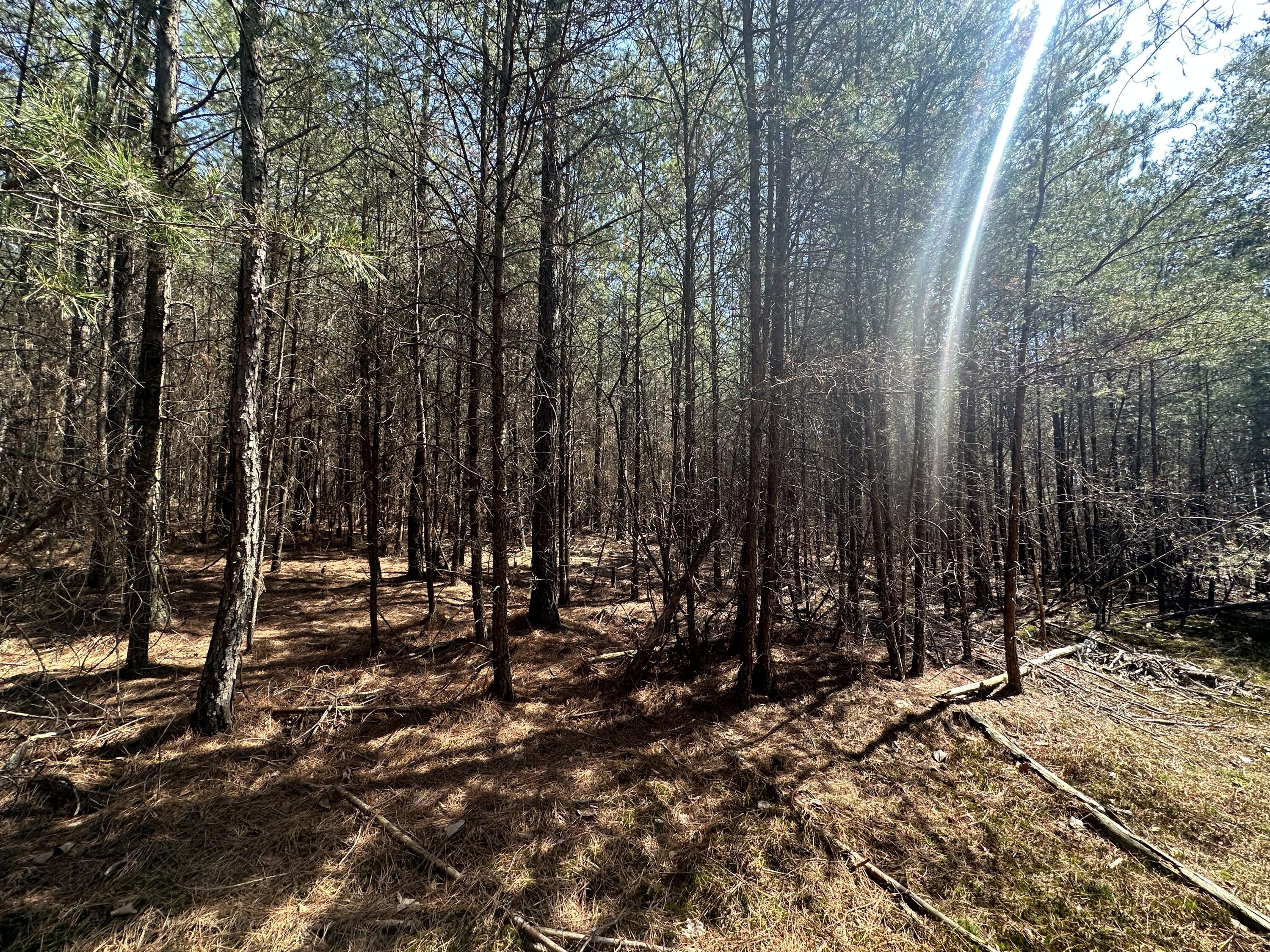 0 Crockett Point Property Photo 47