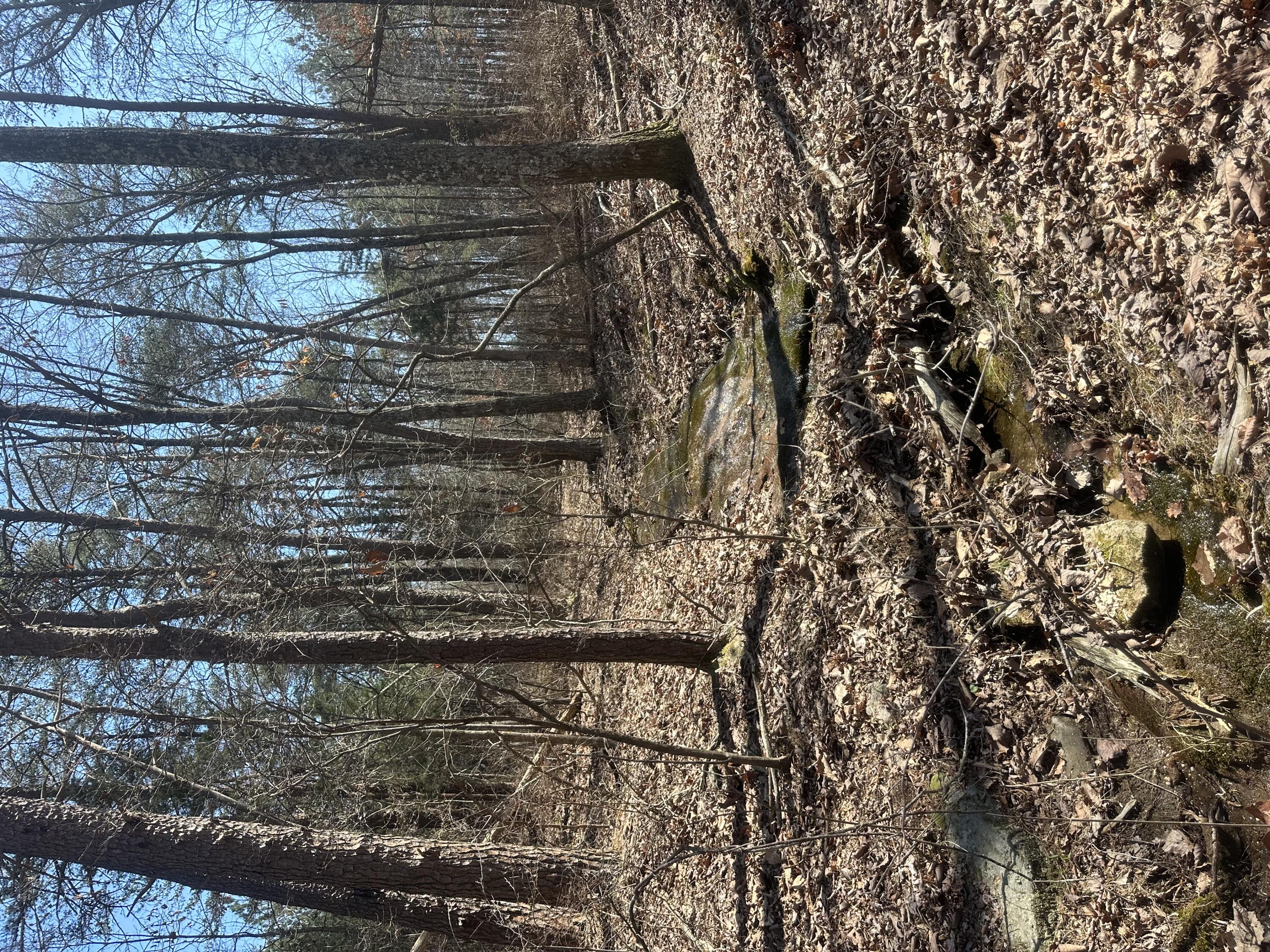 0 Crockett Point Property Photo 52