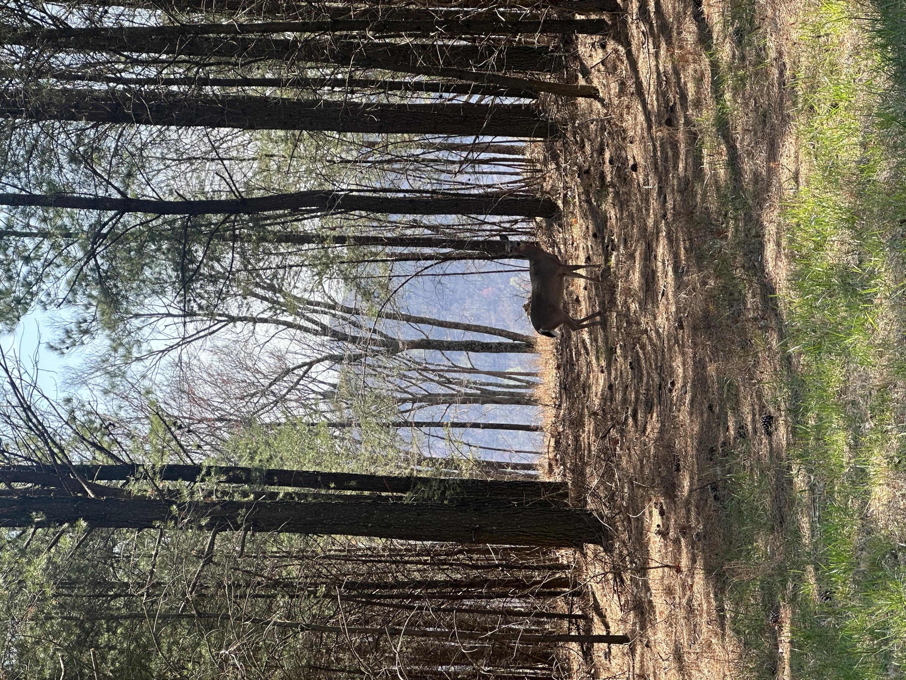 0 Crockett Point Property Photo 56