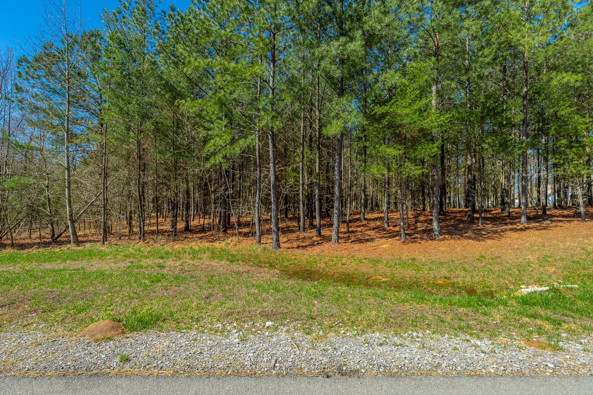 0 Boone Pass Property Photo 1