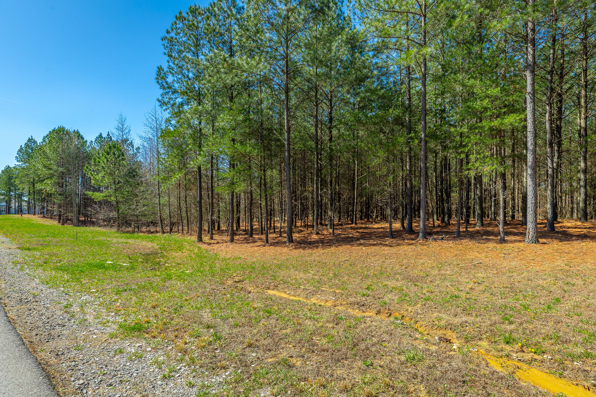 0 Boone Pass Property Photo 7