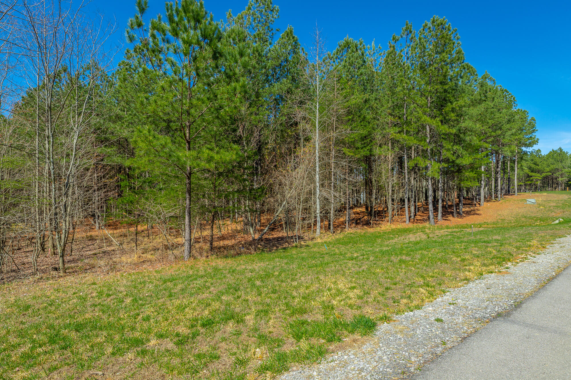 0 Boone Pass Property Photo 10