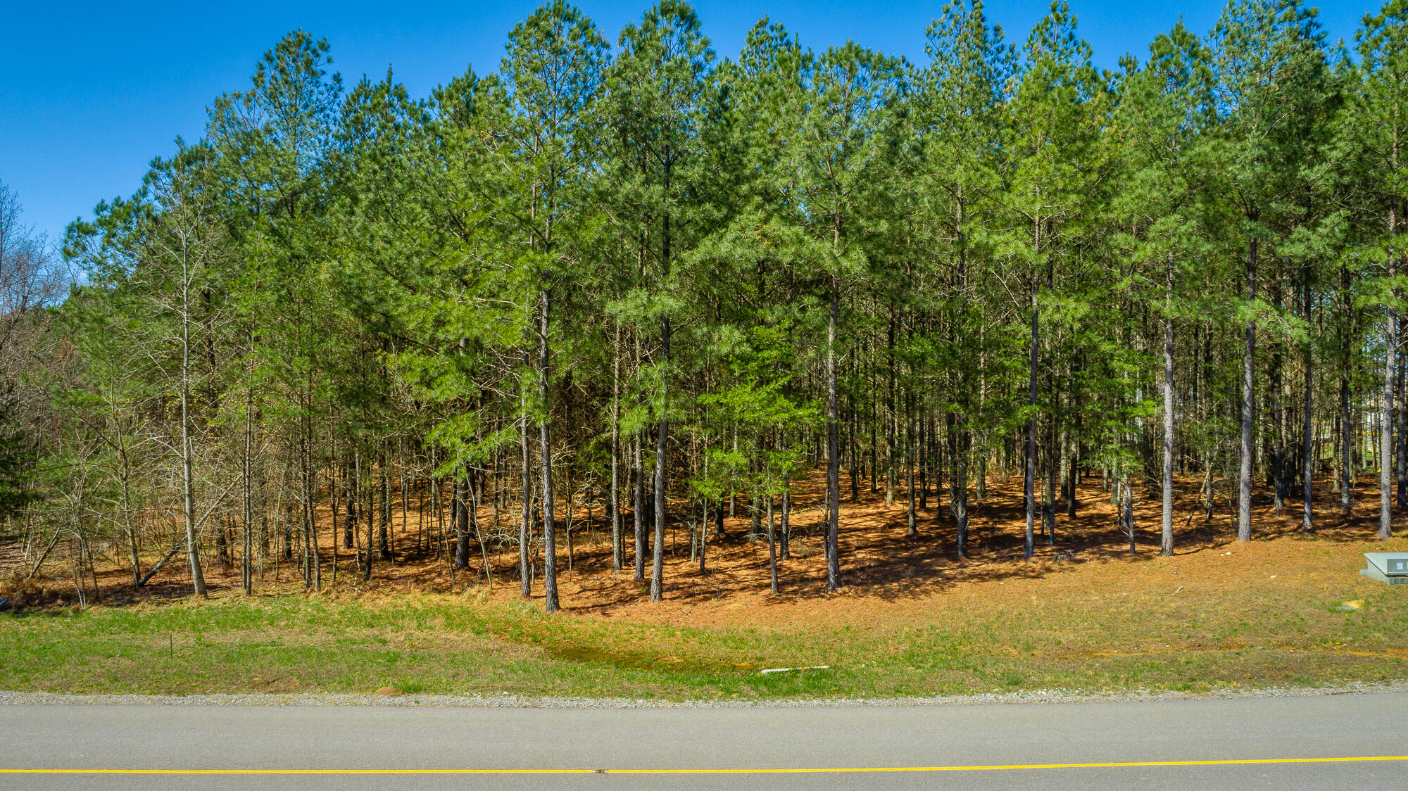 0 Boone Pass Property Photo 14