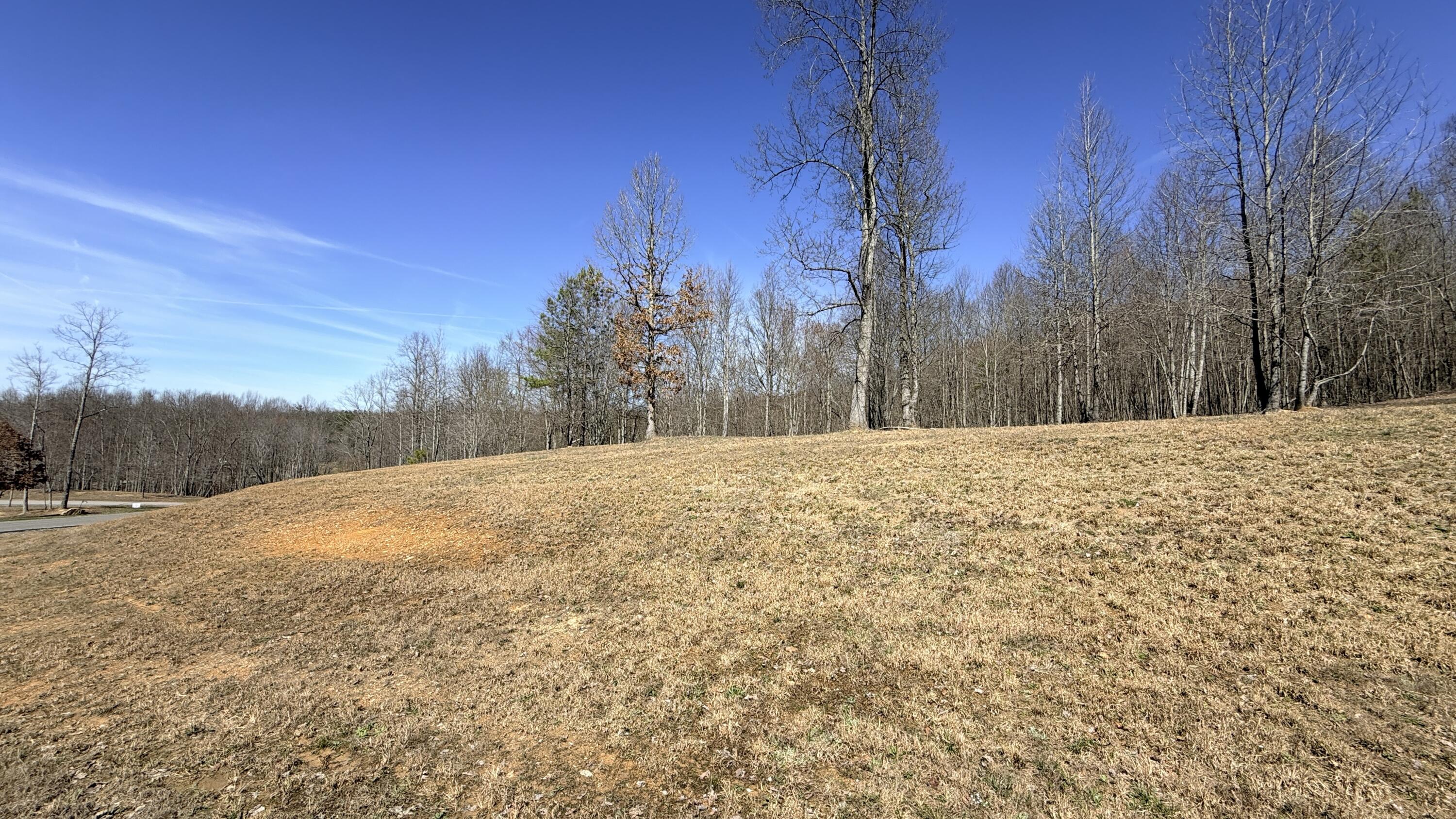 0 Raulston Falls Road Property Photo 20