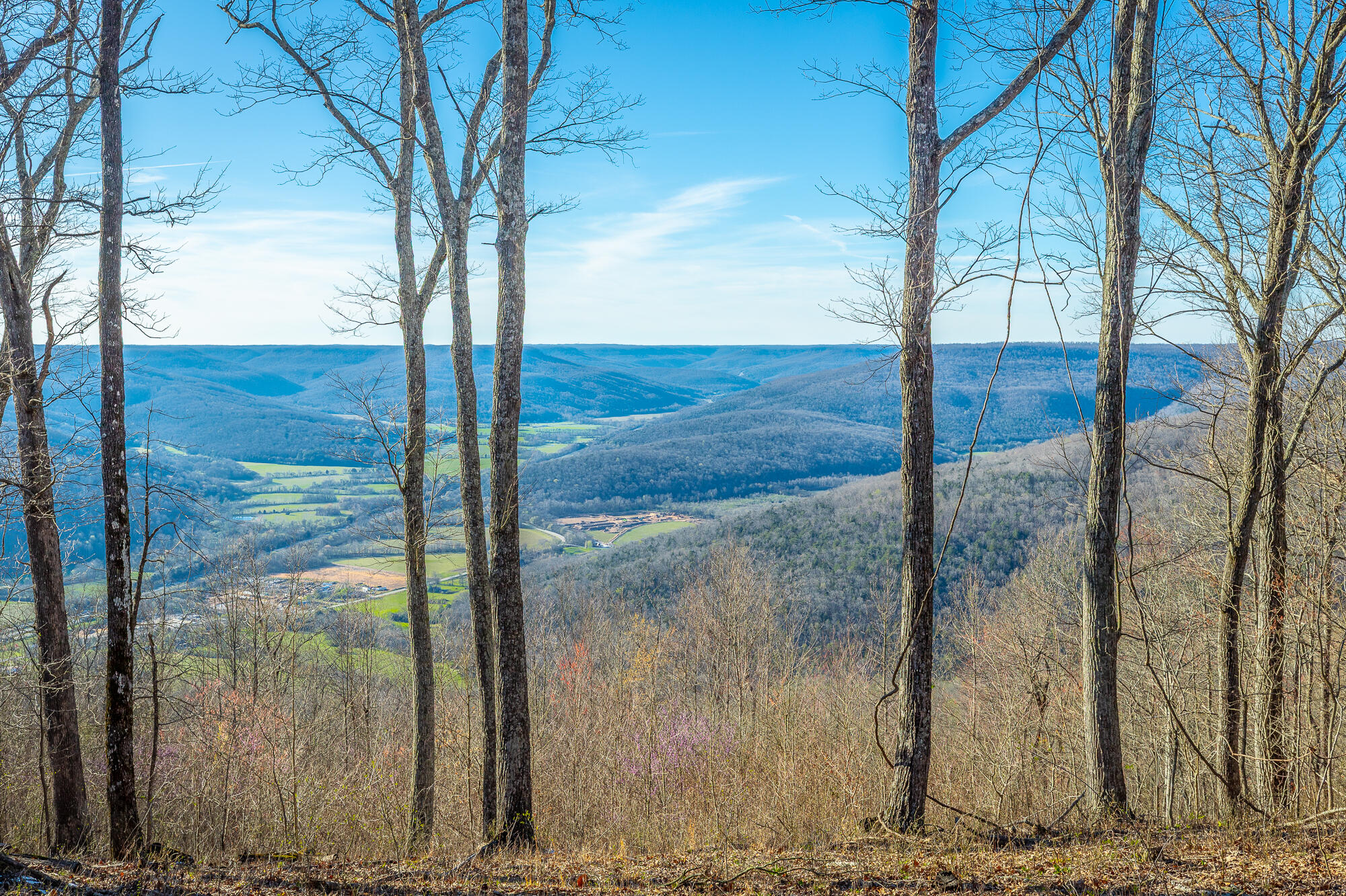0 Cherokee Path Property Photo 1