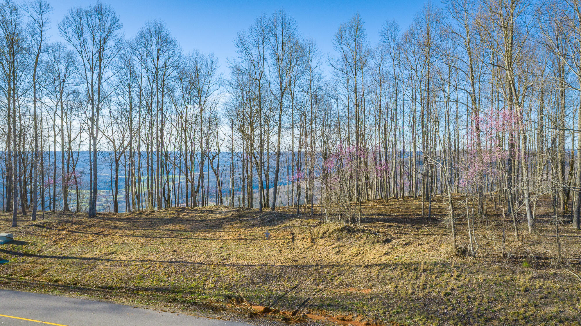 0 Cherokee Path Property Photo 4