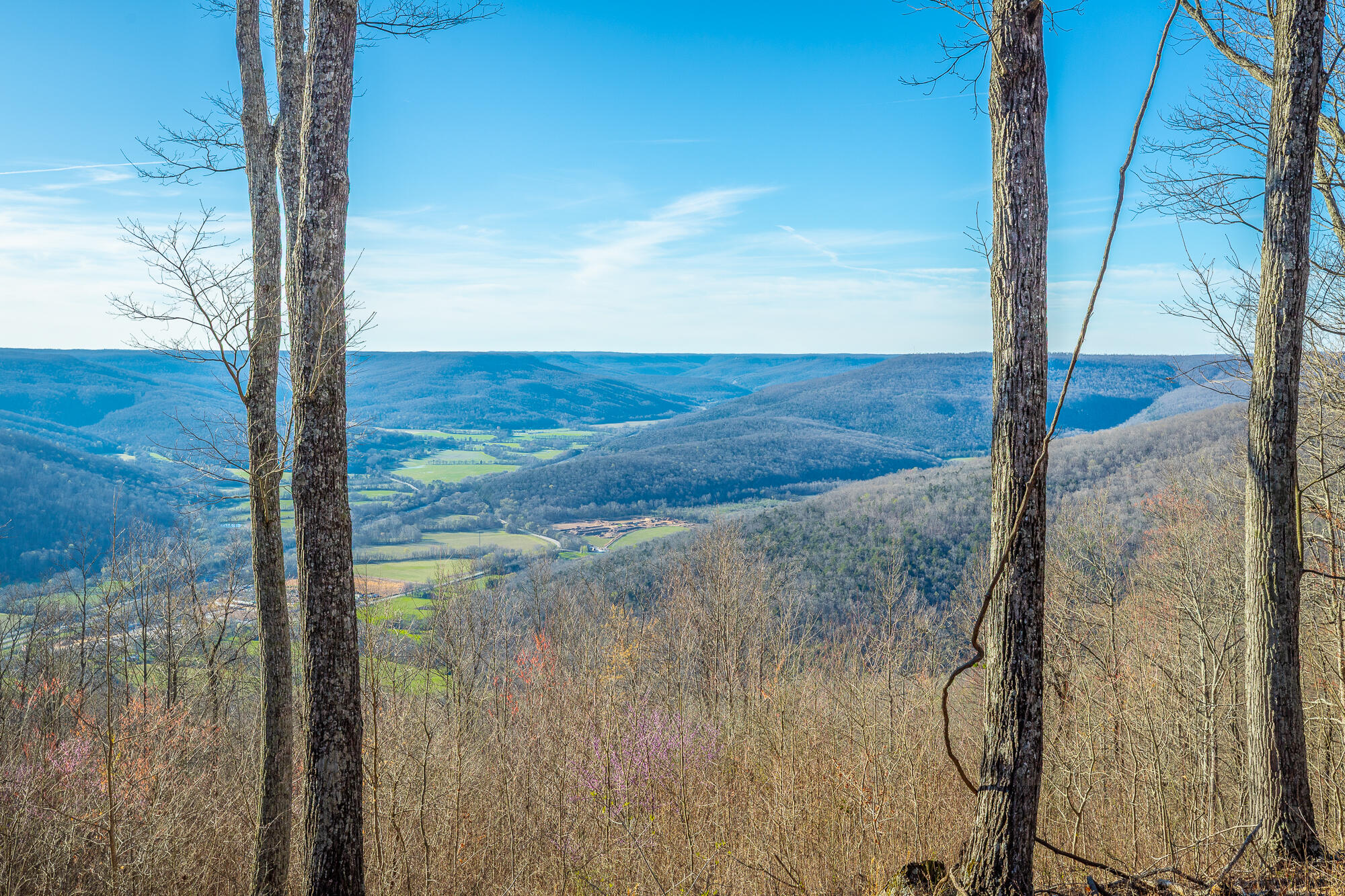 0 Cherokee Path Property Photo 5