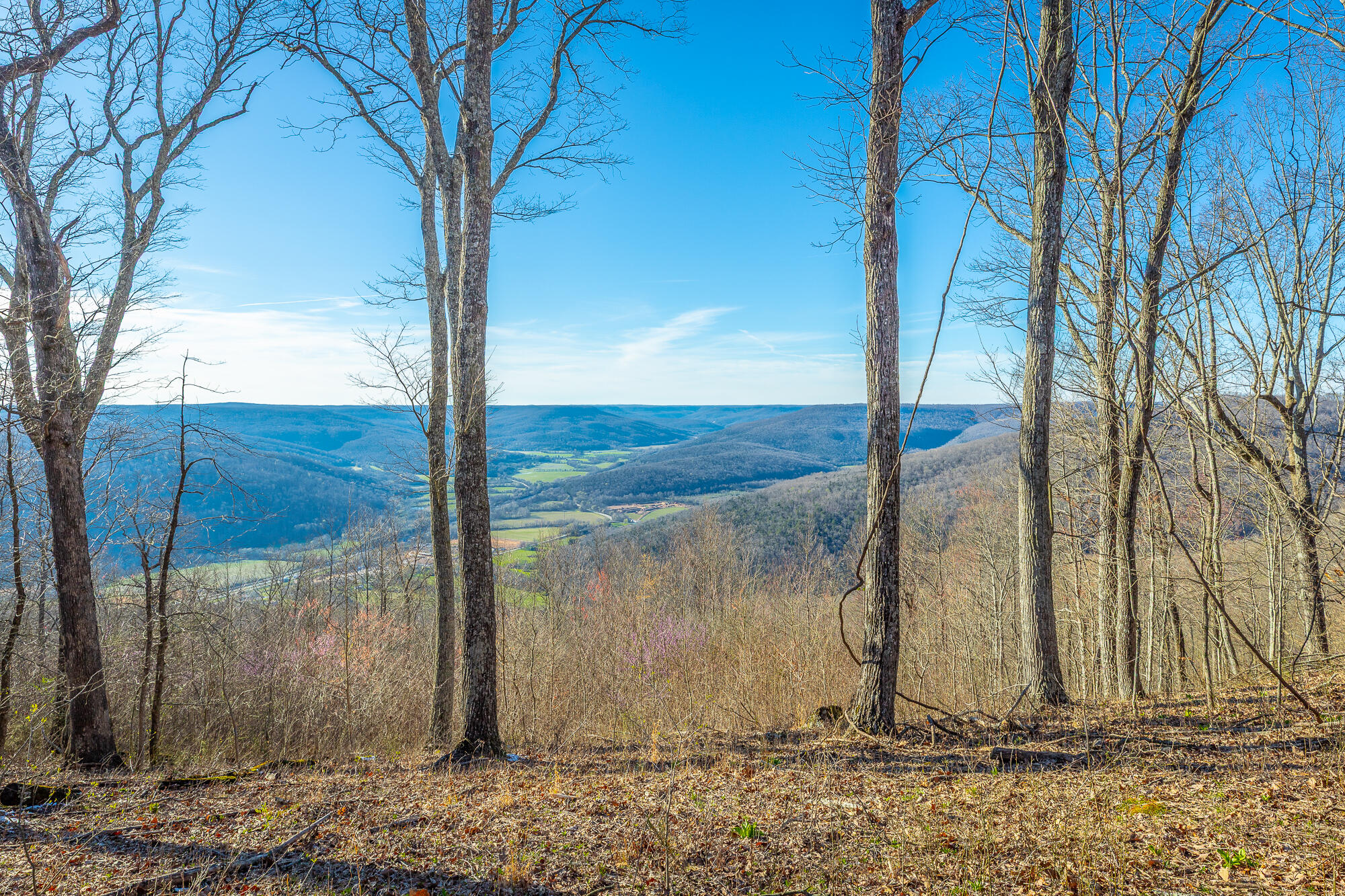 0 Cherokee Path Property Photo 6