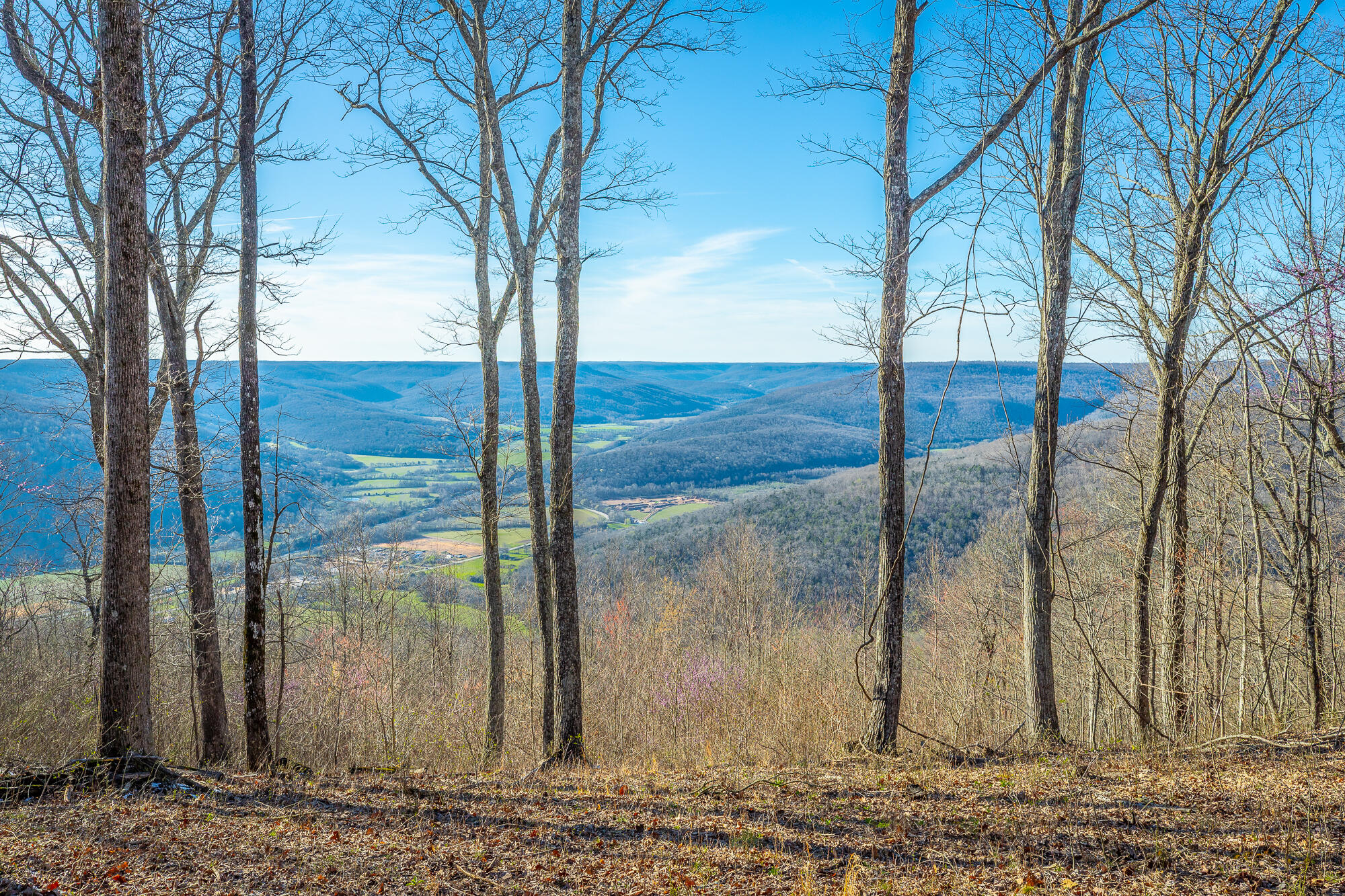 0 Cherokee Path Property Photo 7
